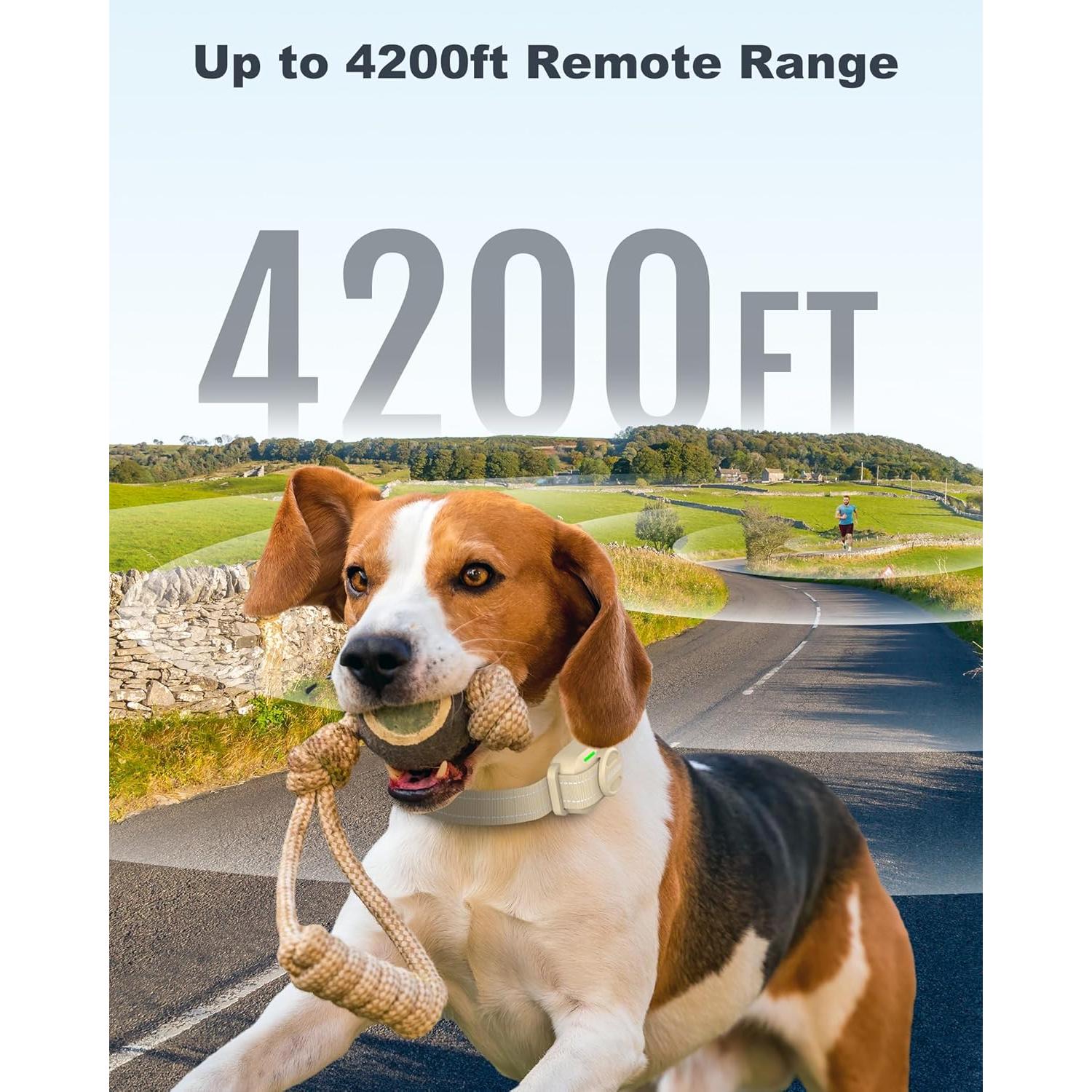 Collar de Entrenamiento Jugbow para Perros 5-120 lb IPX8