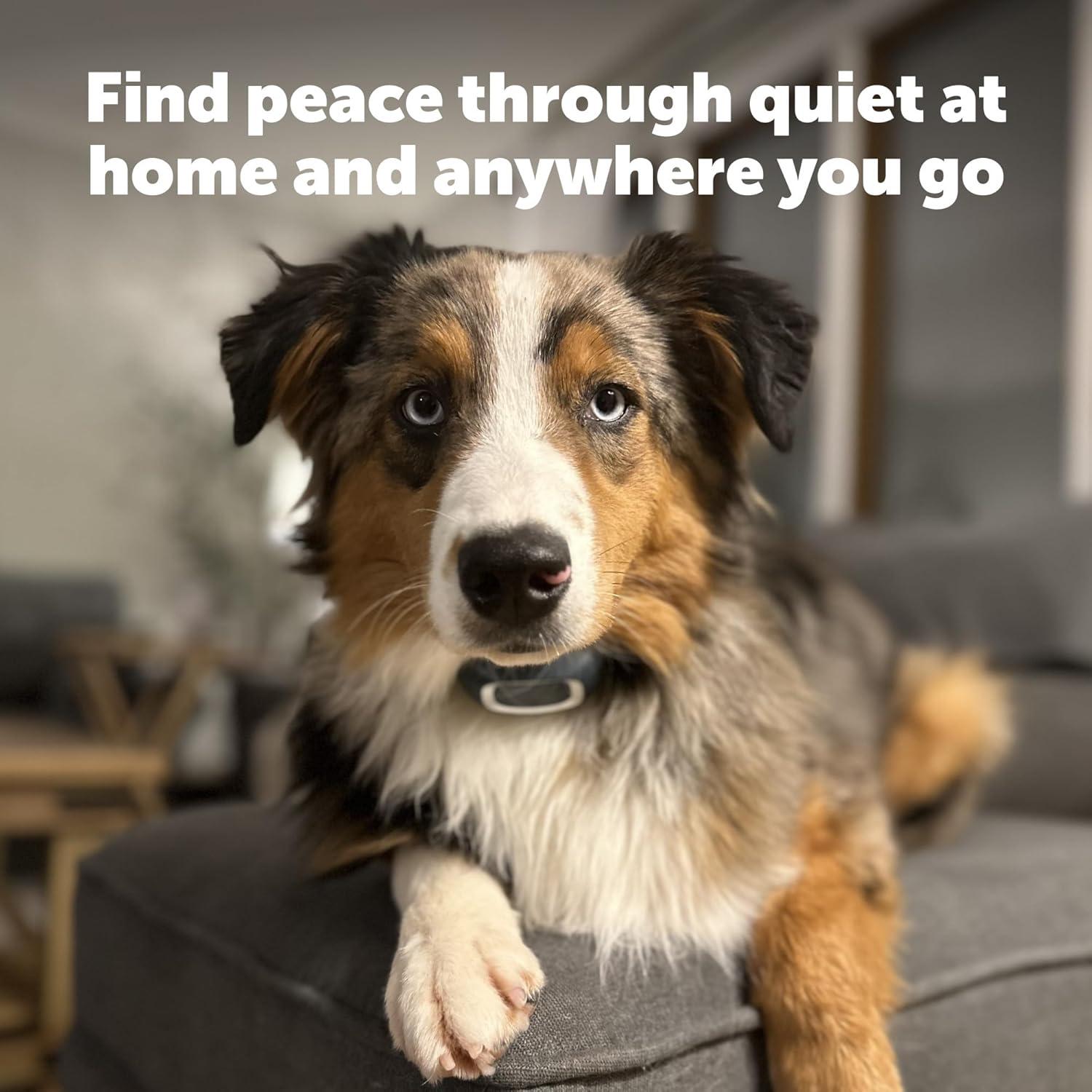 Collar Antiladridos PetSafe para Perros 8 lb, Impermeable