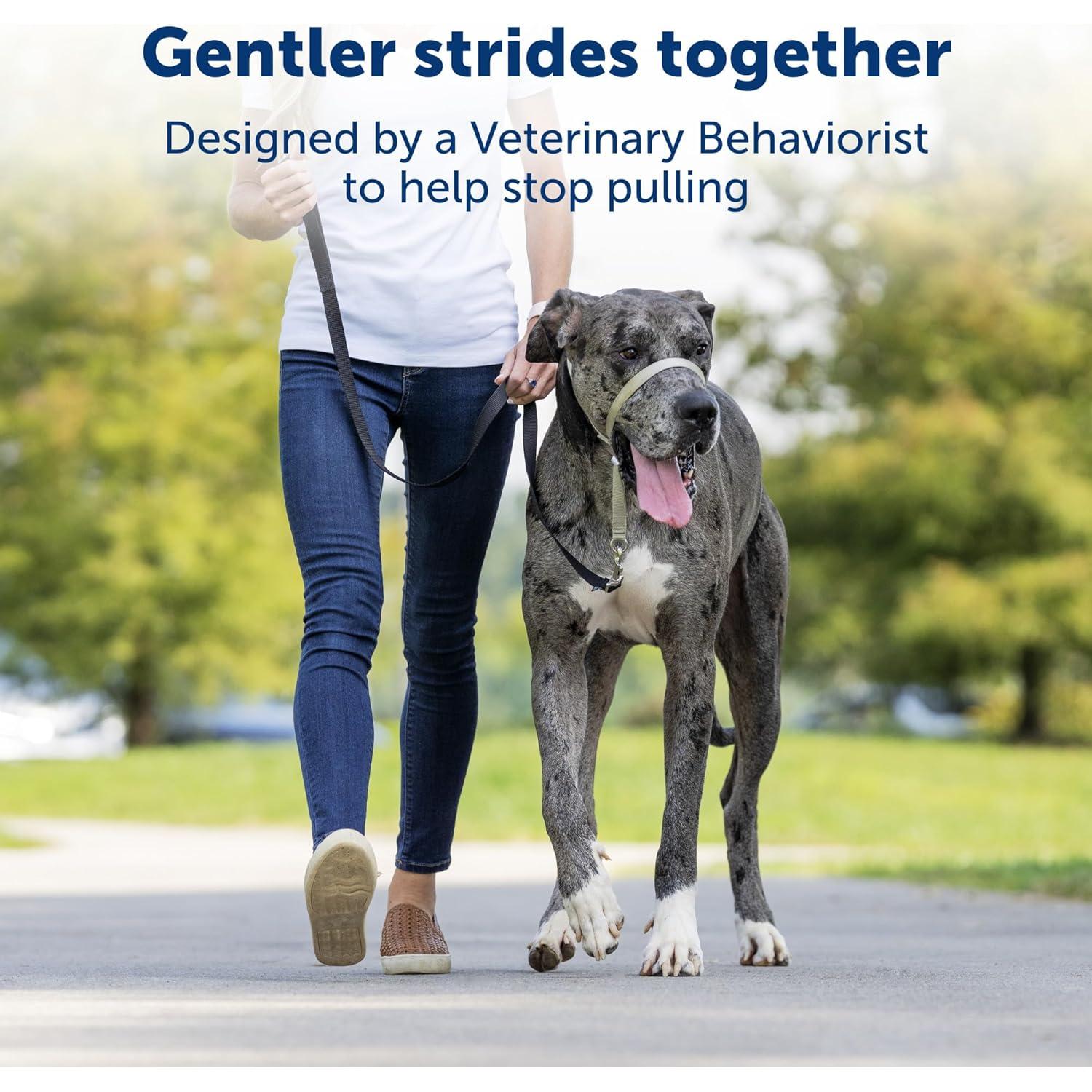 Collar de Cabeza PetSafe Gentle Leader Grande Plata