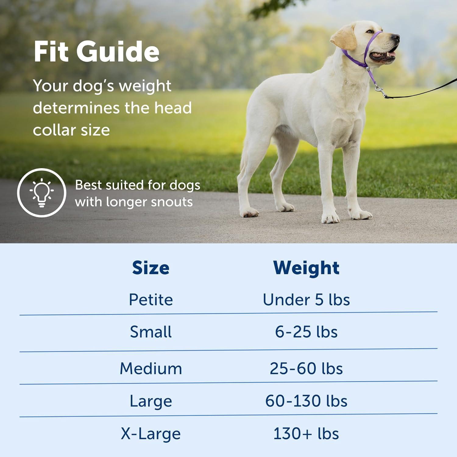 Collar de Cabeza PetSafe Gentle Leader Grande Plata