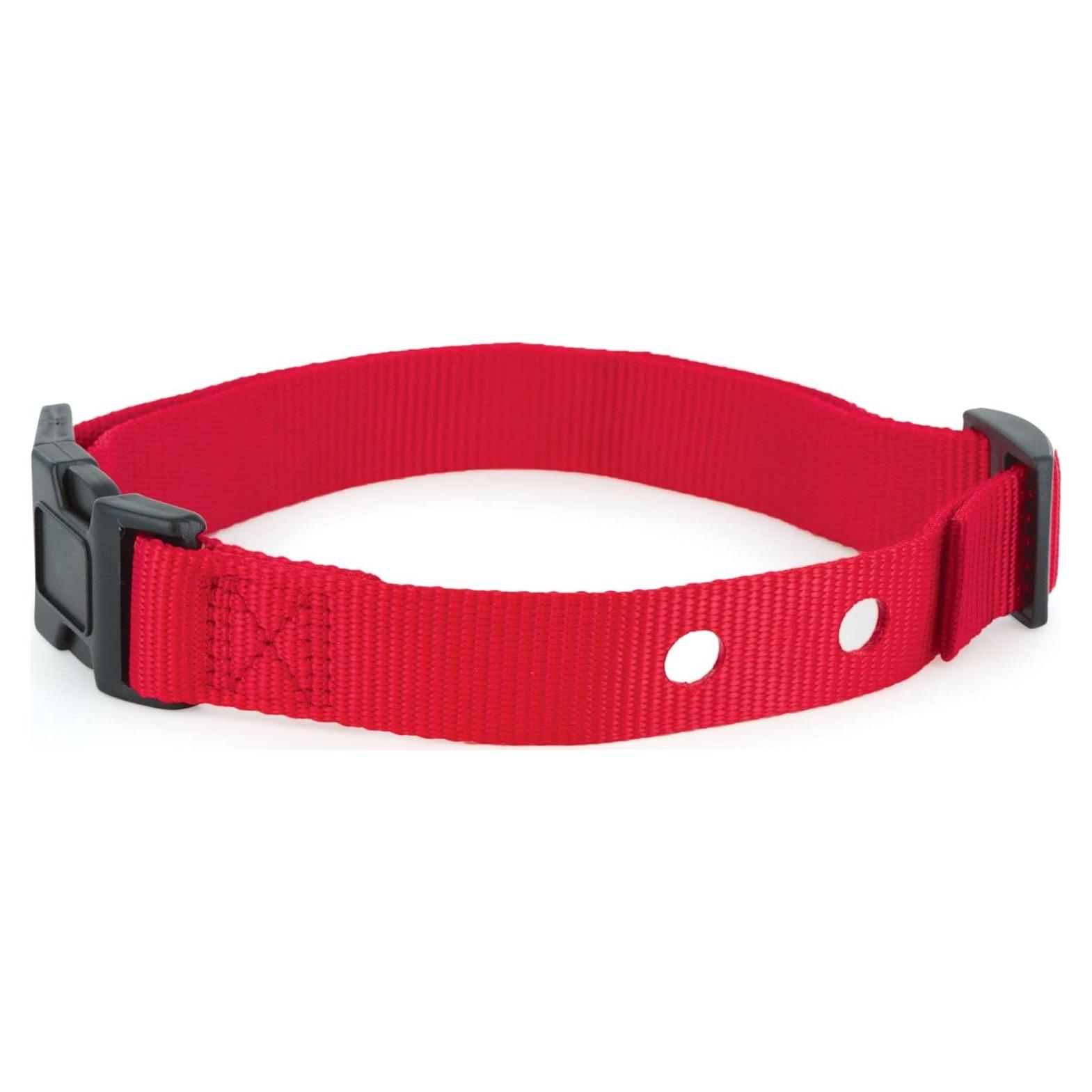Correa de Reemplazo PetSafe 2,54 cm para Collares de Perros