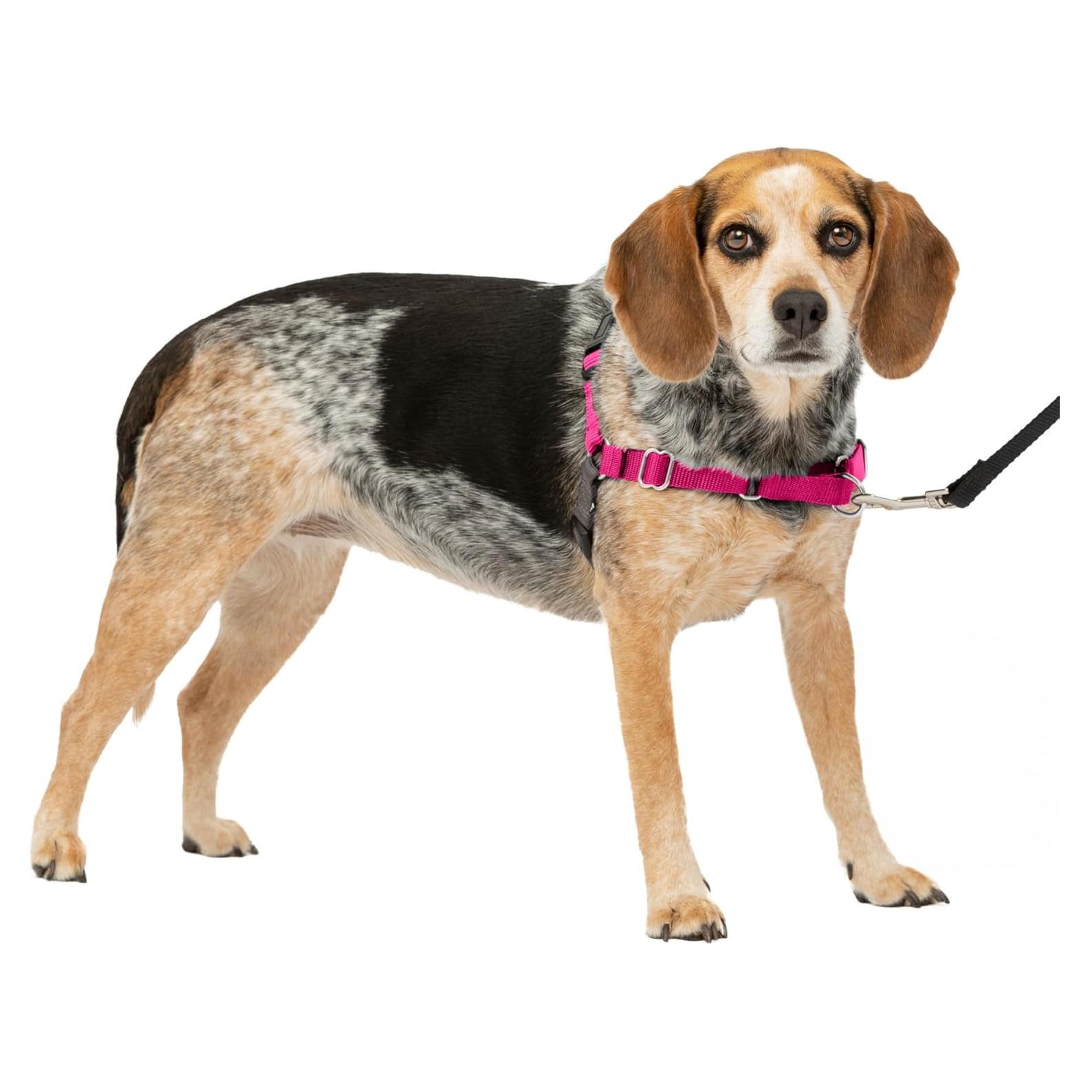 Arnés para Perros PetSafe Easy Walk Sin Tirones - Pequeño/Mediano