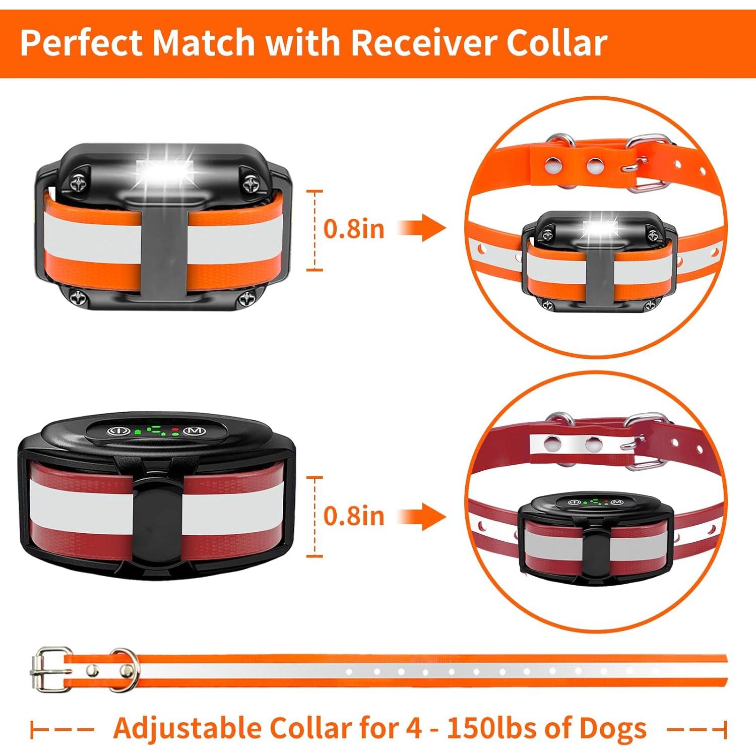 Correa de Repuesto PaiPaitek para Collar de Choque 1,9 cm