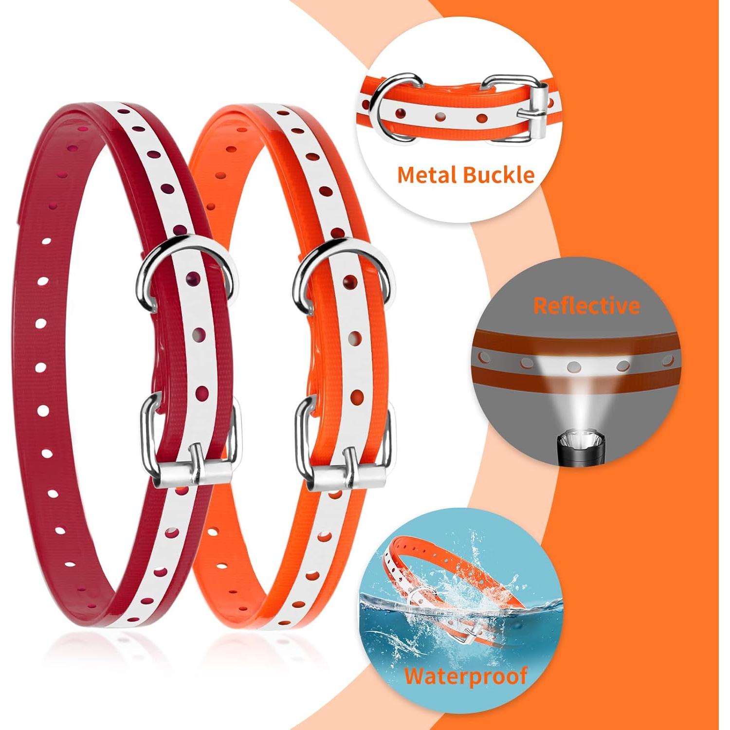 Correa de Repuesto PaiPaitek para Collar de Choque 1,9 cm