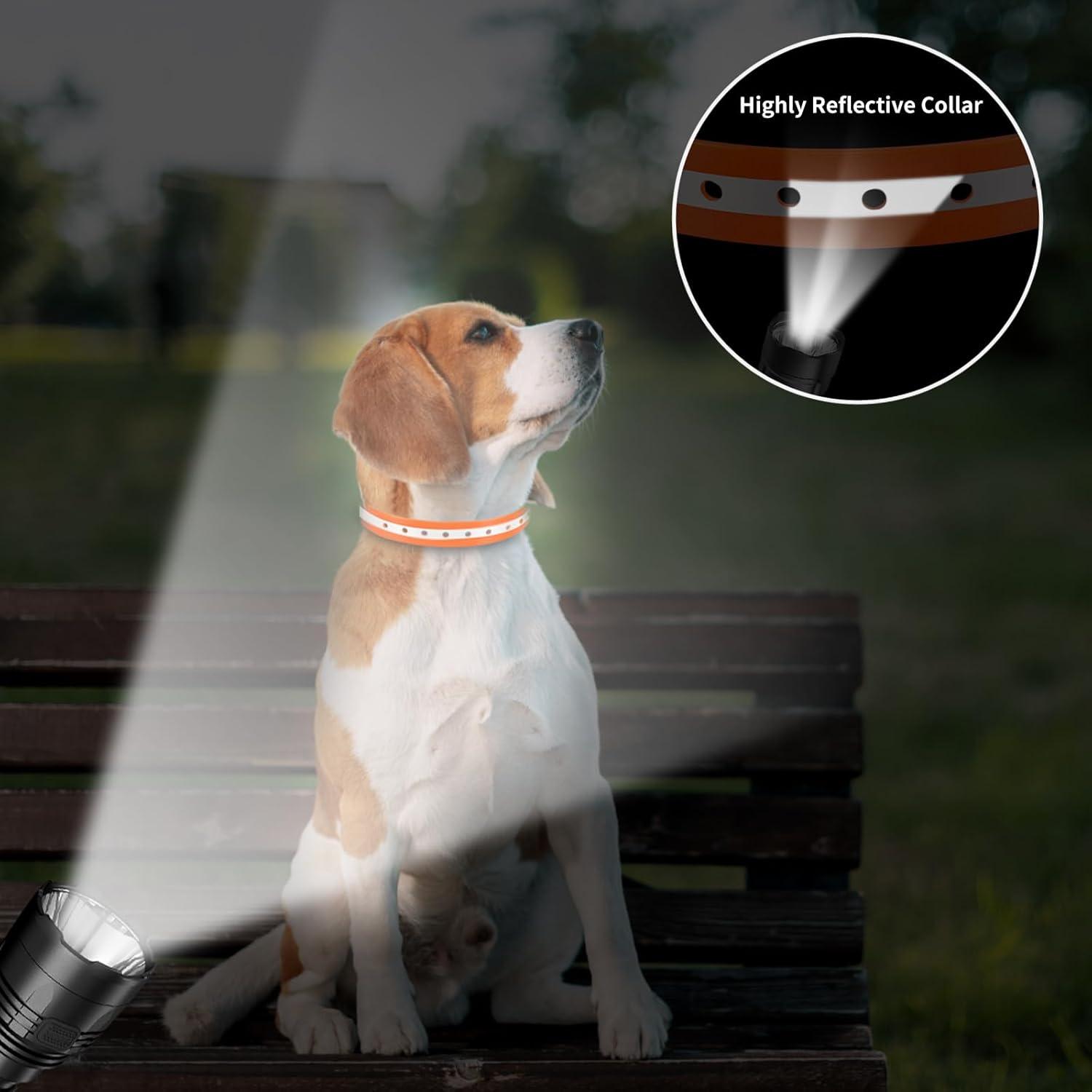 Correa de Repuesto PaiPaitek para Collar de Choque 1,9 cm