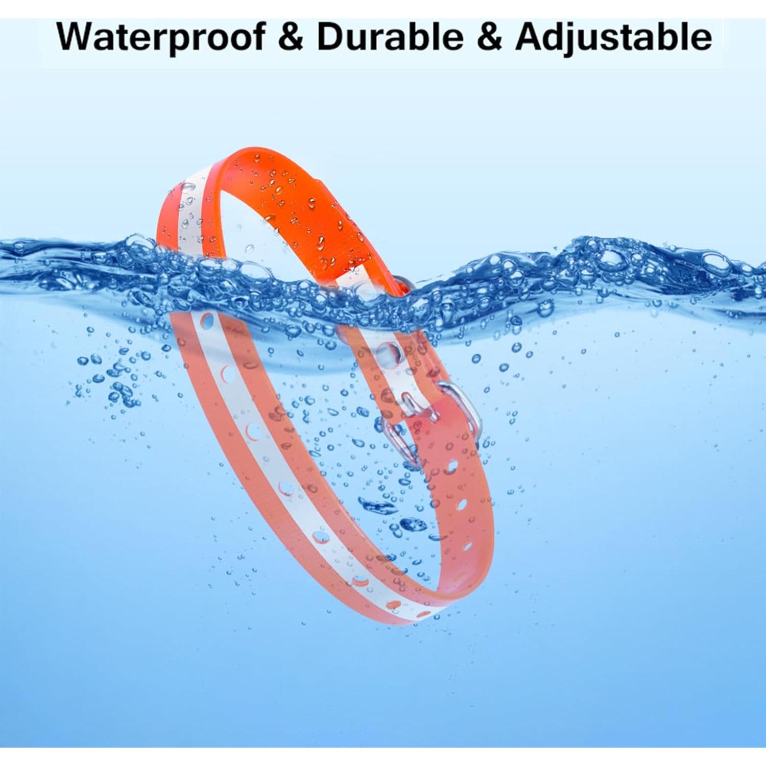 Correa de Repuesto PaiPaitek para Collar de Choque 1,9 cm