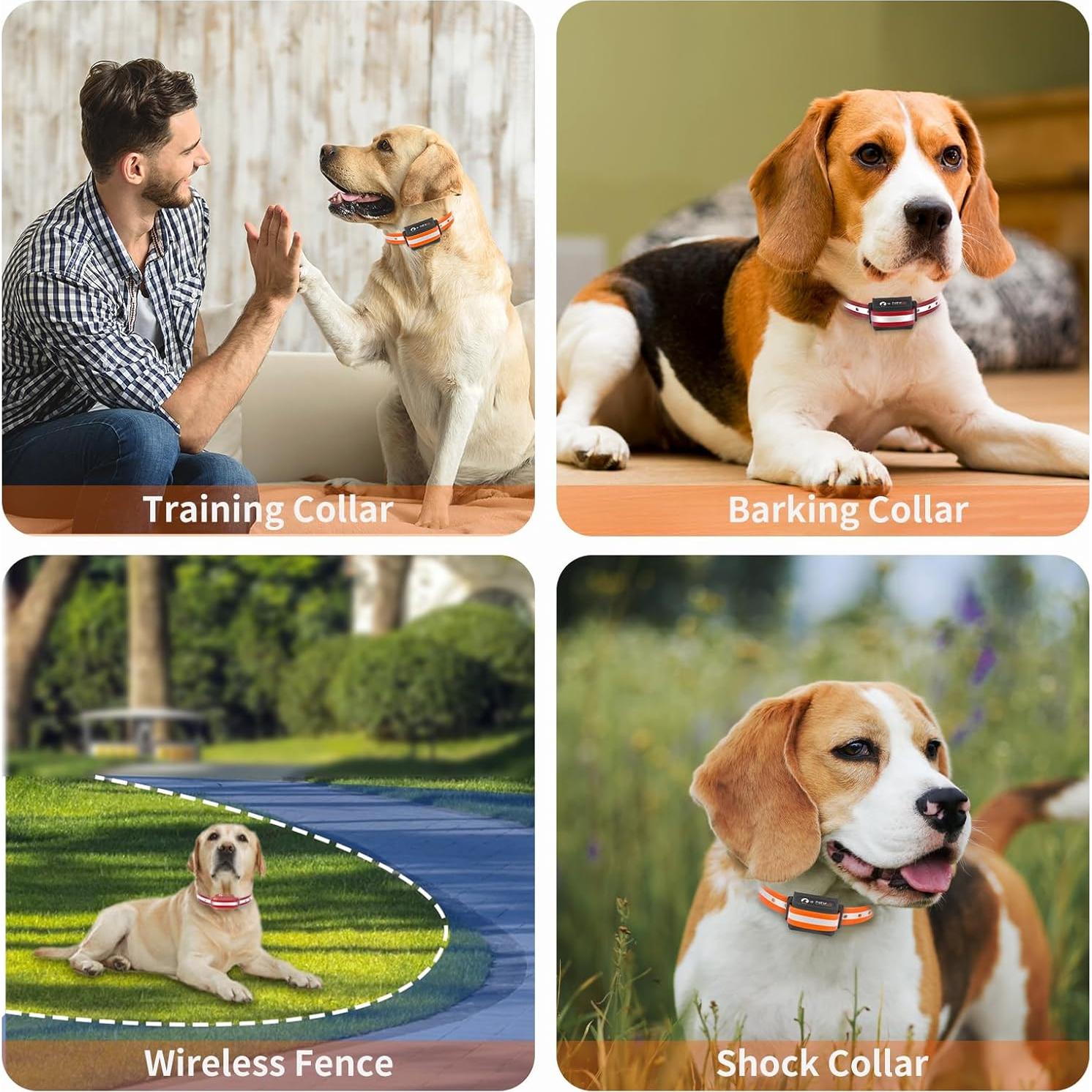 Correa de Repuesto PaiPaitek para Collar de Choque 1,9 cm