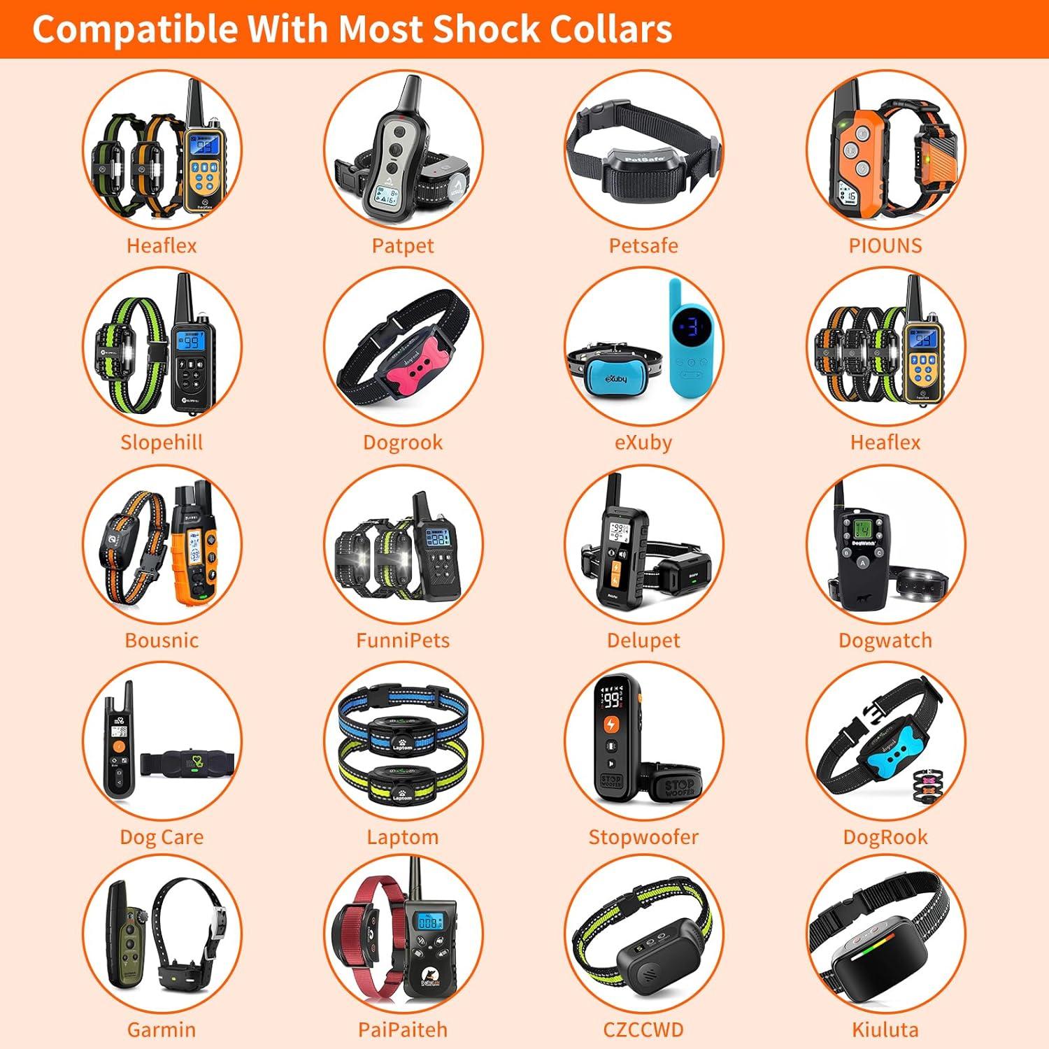 Correa de Repuesto PaiPaitek para Collar de Choque 1,9 cm