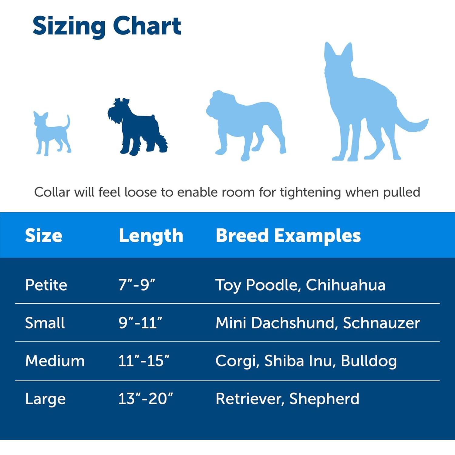 Collar Martingale PetSafe con Hebilla Rápido Desenganche 1,9 cm