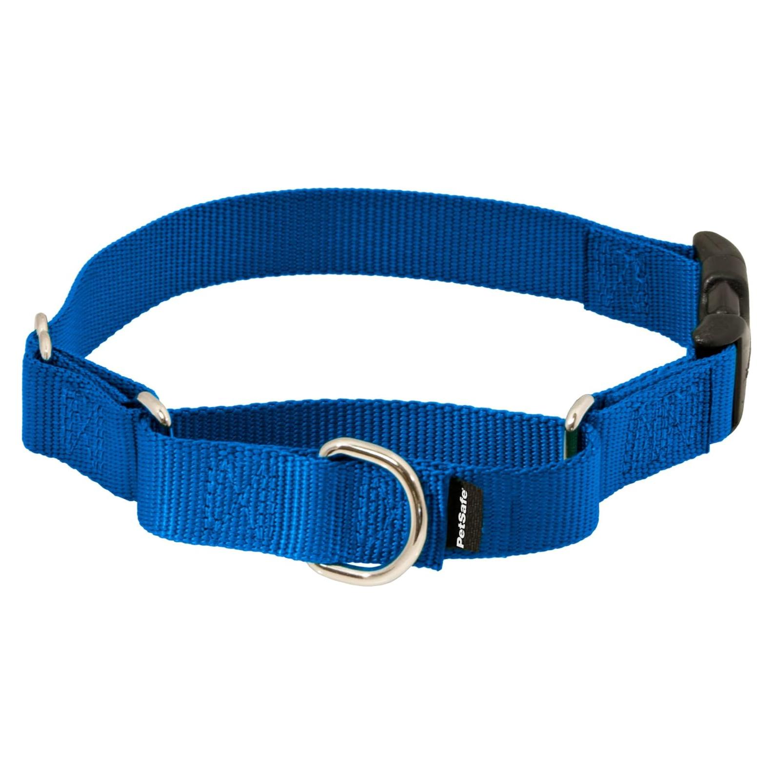 Collar Martingale PetSafe Mediano 1,9 cm Nylon Duradero