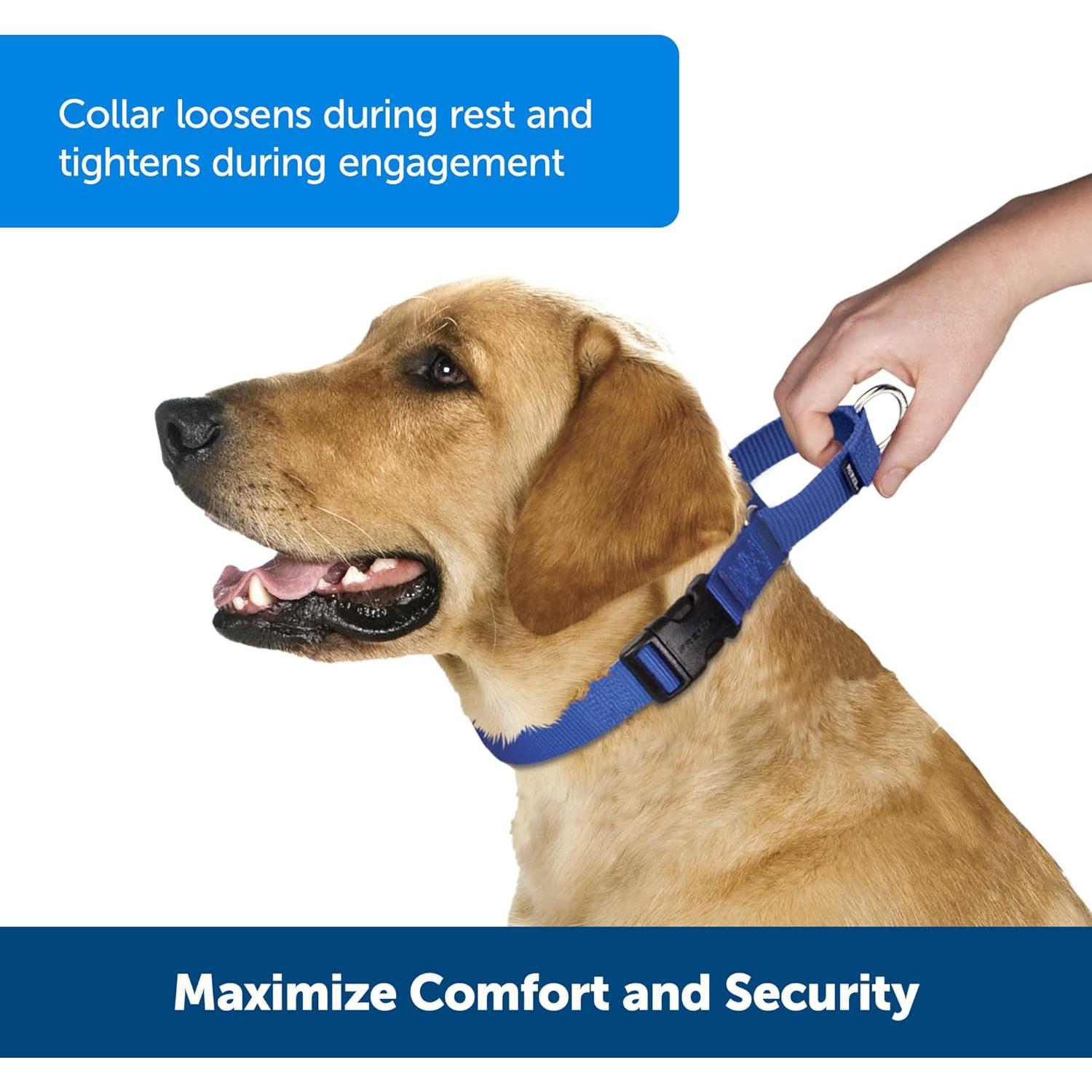 Collar Martingale PetSafe Mediano 1,9 cm Nylon Duradero