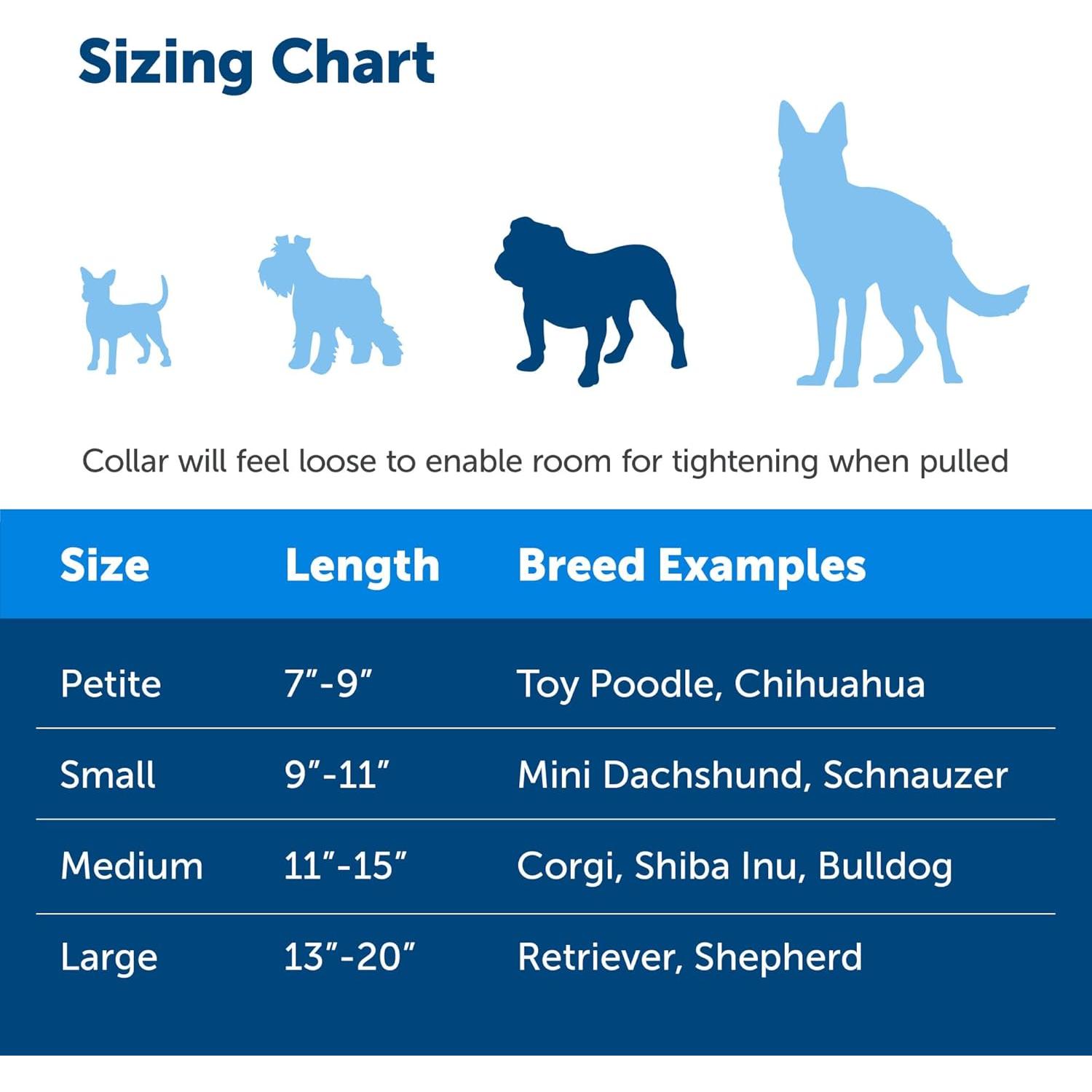 Collar Martingale PetSafe Mediano 1,9 cm Nylon Duradero