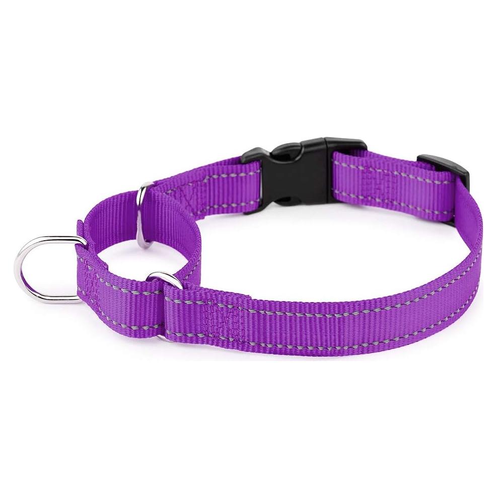 Collar Martingale Reflectante Plutus Pet M 40-50 cm Púrpura