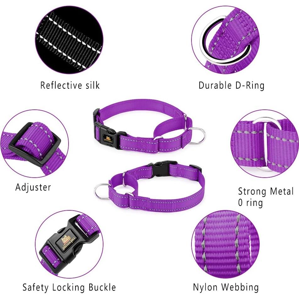 Collar Martingale Reflectante Plutus Pet M 40-50 cm Púrpura