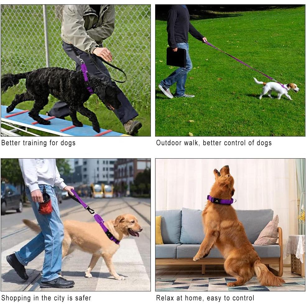 Collar Martingale Reflectante Plutus Pet M 40-50 cm Púrpura