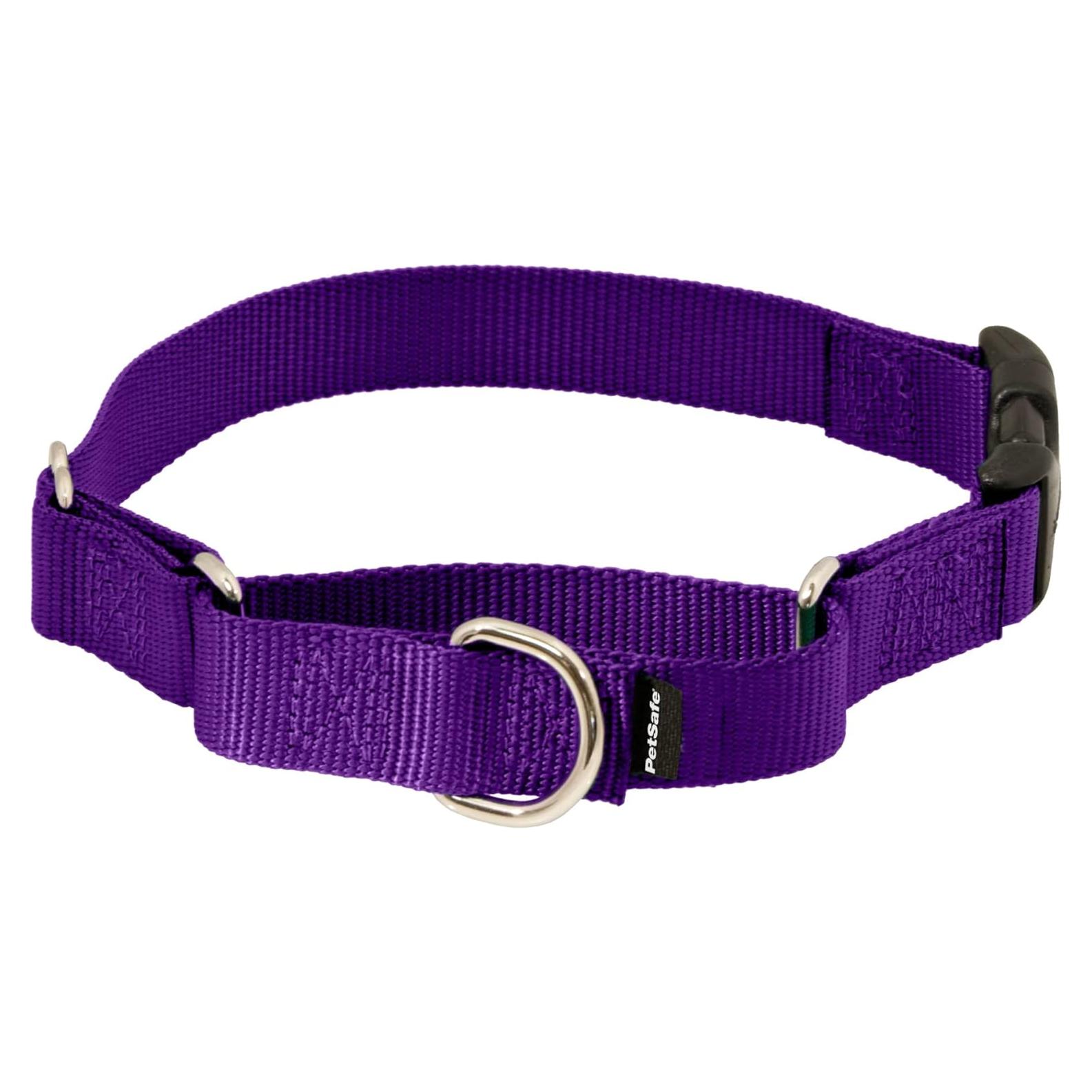 Collar Martingale PetSafe con Hebilla Rápida - Grande 2,54 cm
