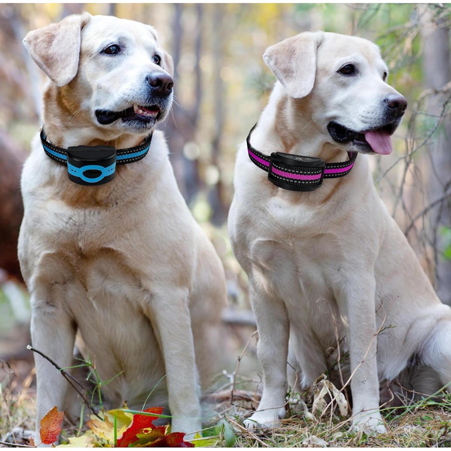 Collar de Reemplazo Ajustable Thowapou para Perros 2 Piezas