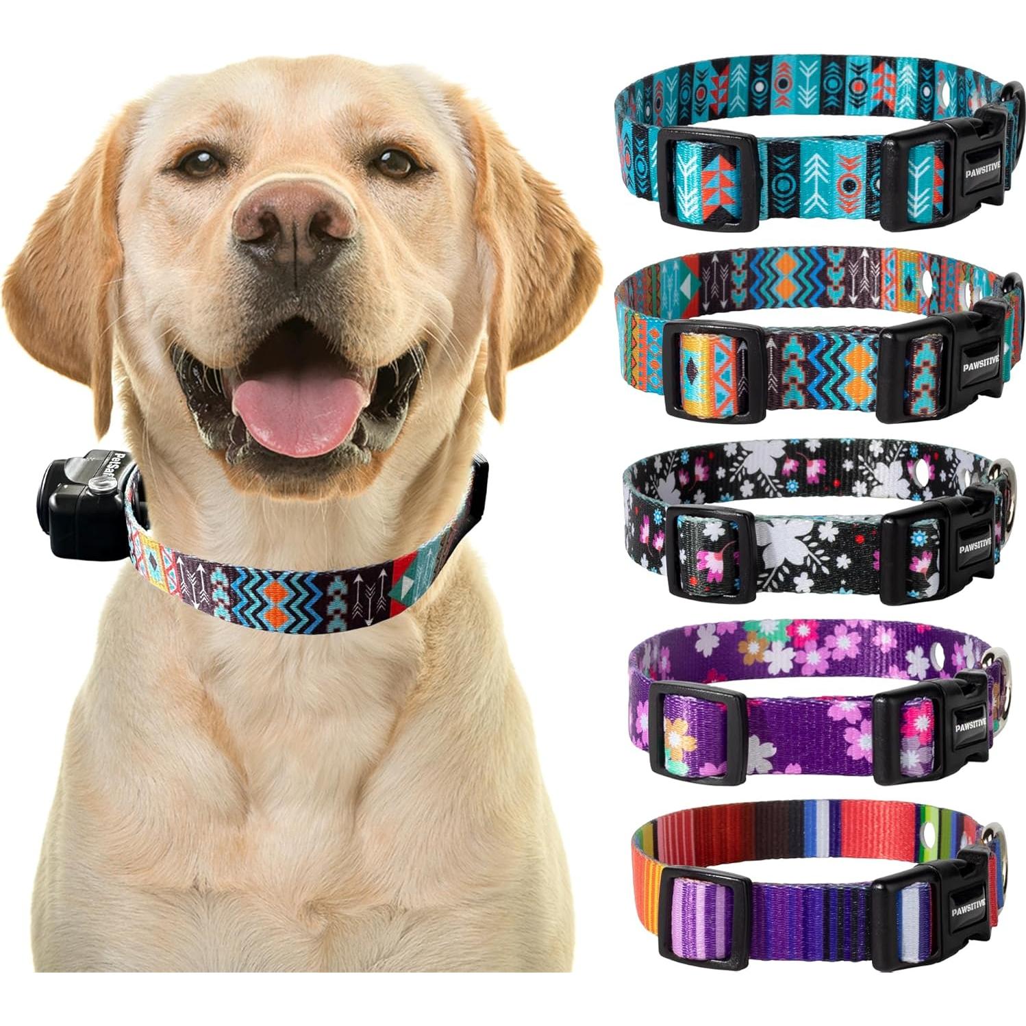 Correa de Reemplazo Nylon E-Collar Gracie Grande 45-68 cm