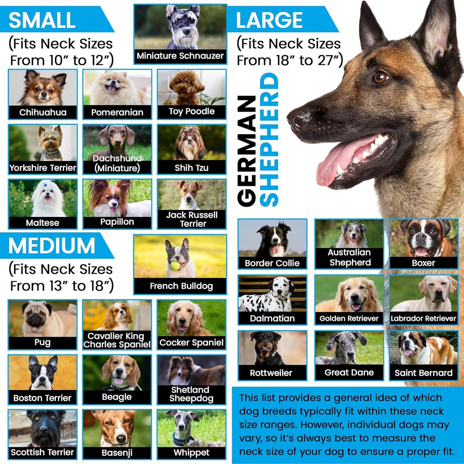 Correa de Reemplazo Nylon E-Collar Gracie Grande 45-68 cm