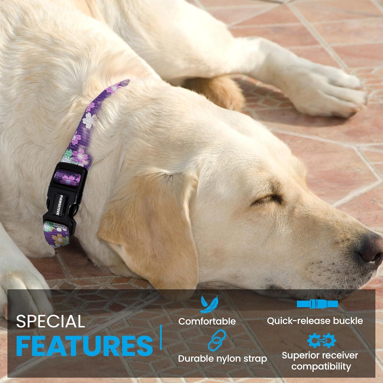 Correa de Reemplazo Nylon E-Collar Gracie Grande 45-68 cm