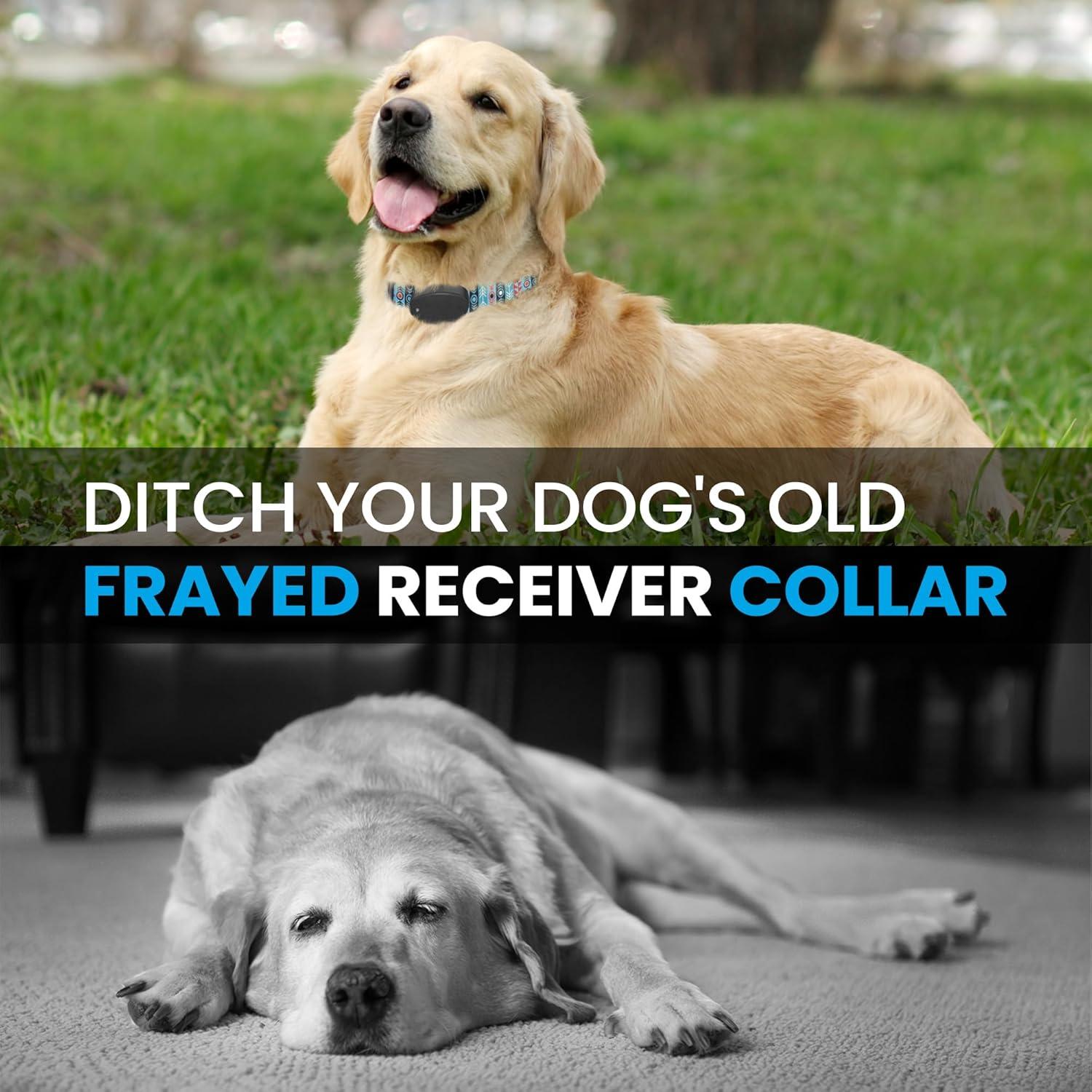 Correa de Reemplazo Nylon E-Collar Gracie Grande 45-68 cm