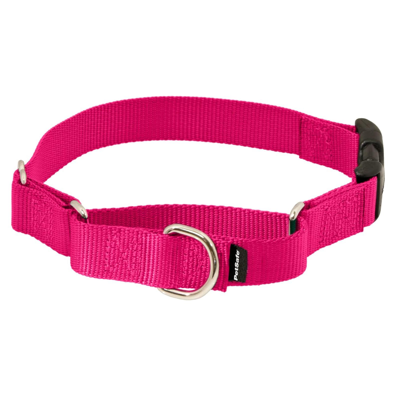 Collar Martingale PetSafe con Hebilla Rápida - Grande 2.54 cm Frambuesa