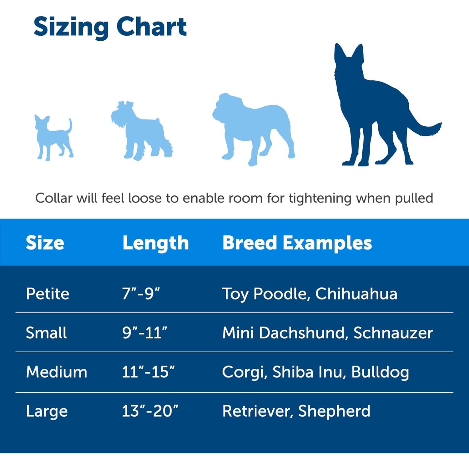 Collar Martingale PetSafe con Hebilla Rápida - Grande 2.54 cm Frambuesa