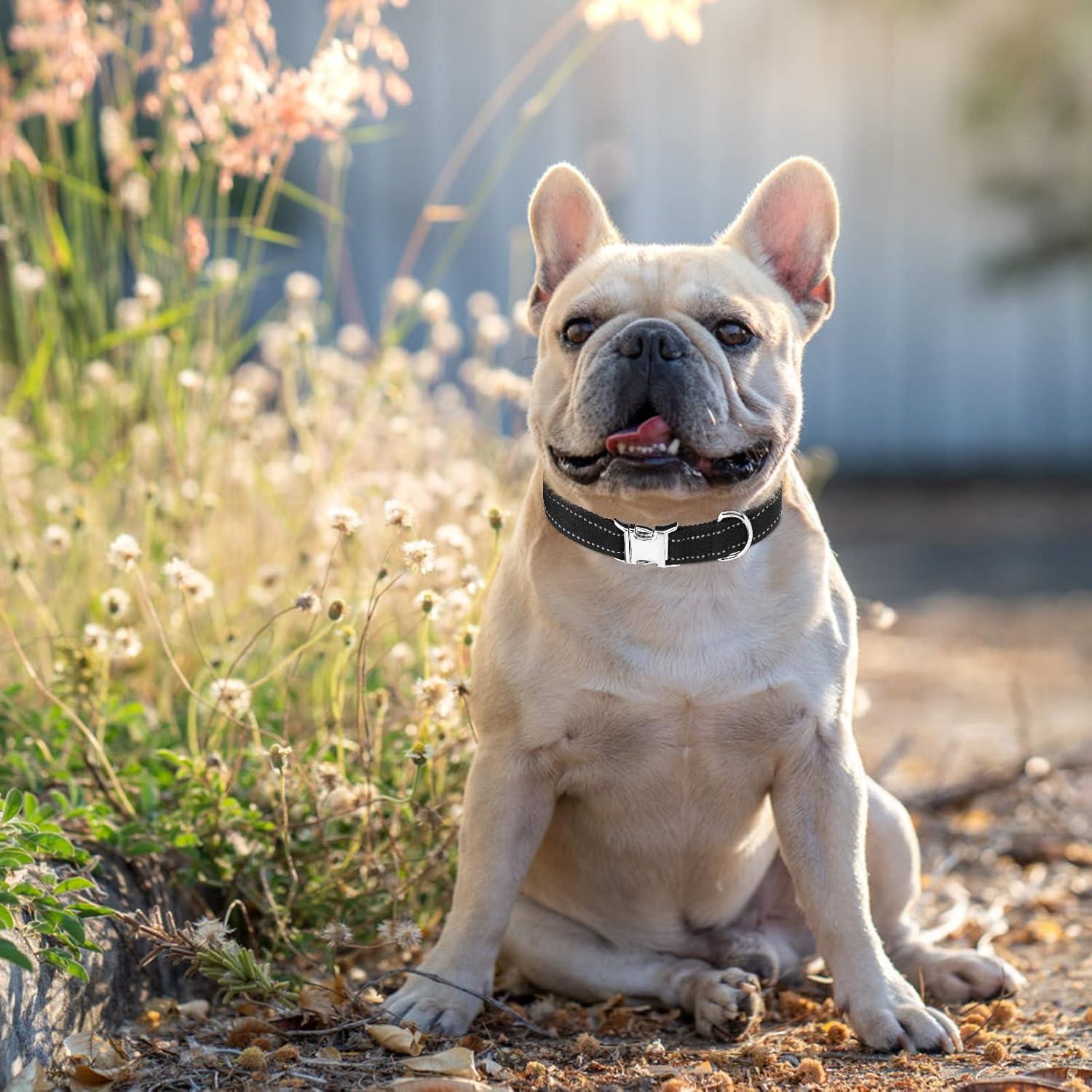 Correa de Collar para Perros ESGPET Ajustable Reflectante Negro
