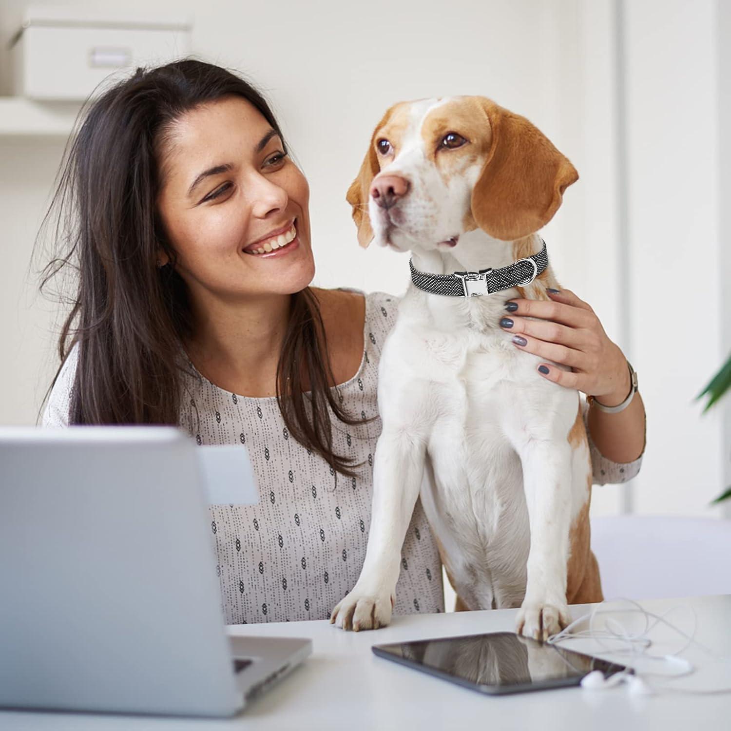 Correa de Collar para Perros ESGPET Ajustable Reflectante Negro
