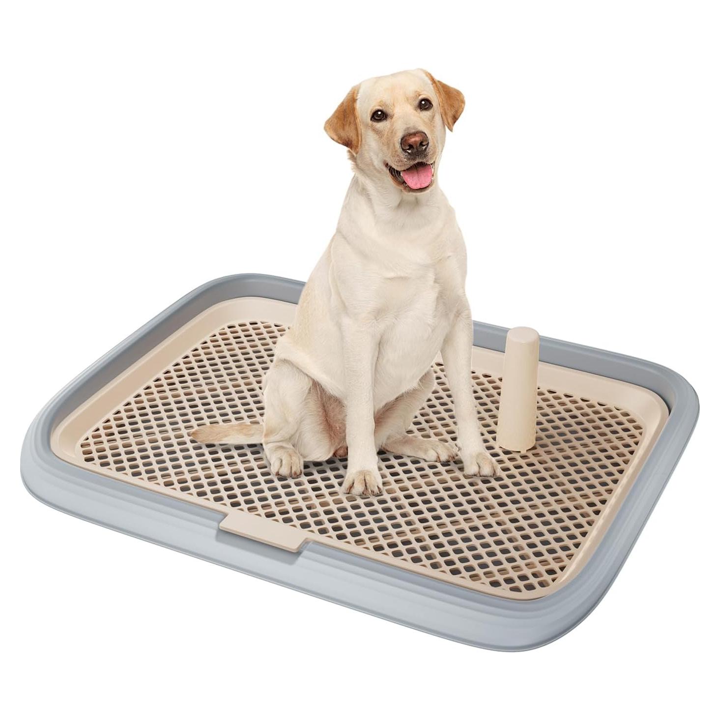 Bandeja para Perros KOLA PANDA 60x45 cm Gris