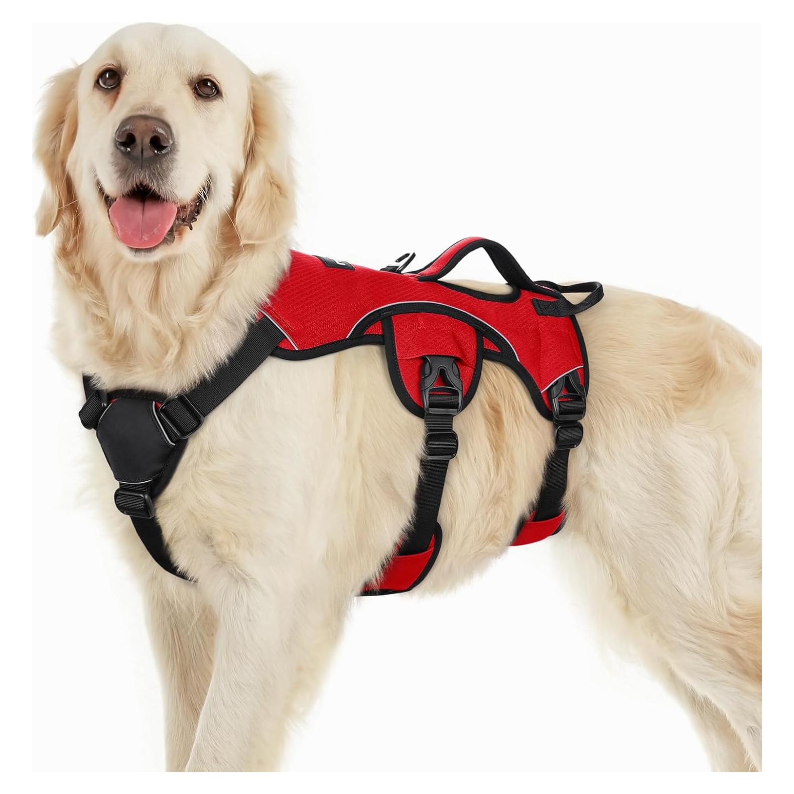 Arnés para Perros Rabbitgoo Grande Rojo Acolchado Reflectante