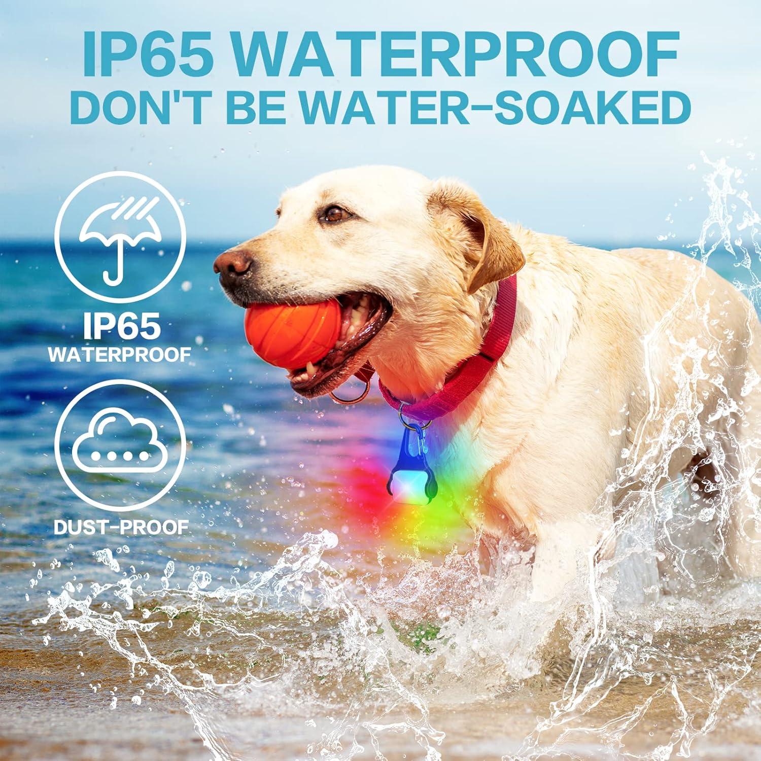 Luces LED para Perros BLBS - Collar Recargable IP65 2 Pzas