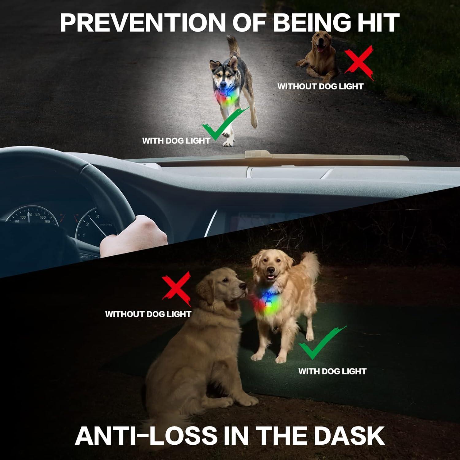 Luces LED para Perros BLBS - Collar Recargable IP65 2 Pzas