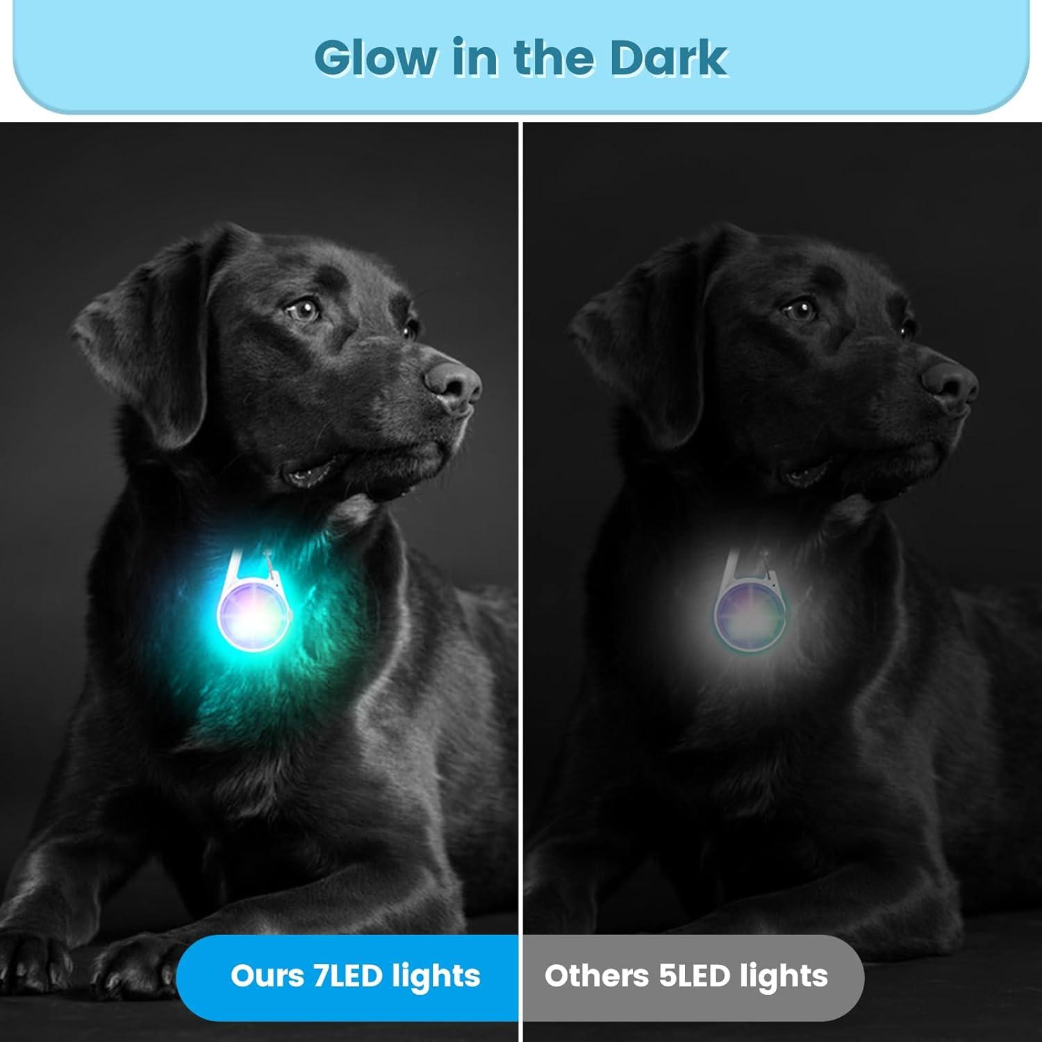 Collar LED recargable para perro POEEY con luz RGB 2Pack