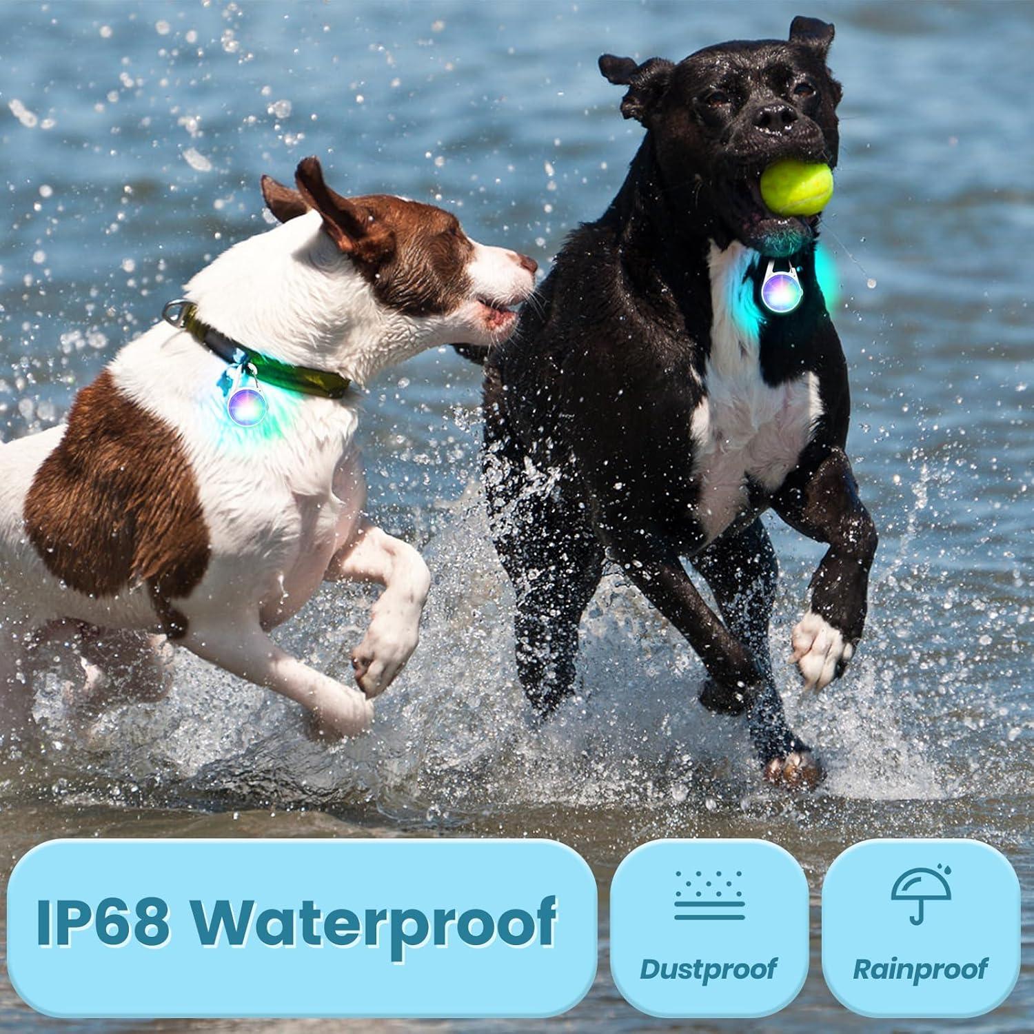 Collar LED recargable para perro POEEY con luz RGB 2Pack