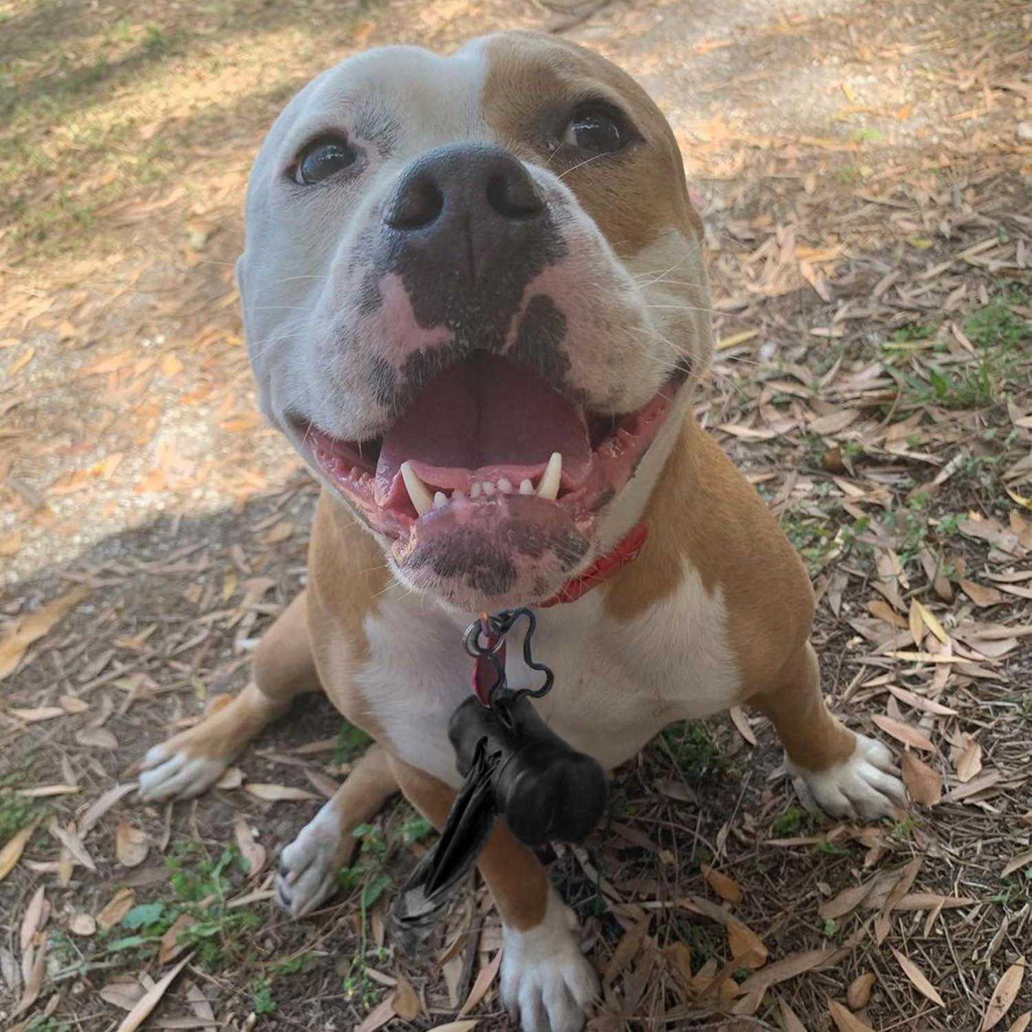 Bolsas de Poop para Perros Mejores Suministros 360 Unidades