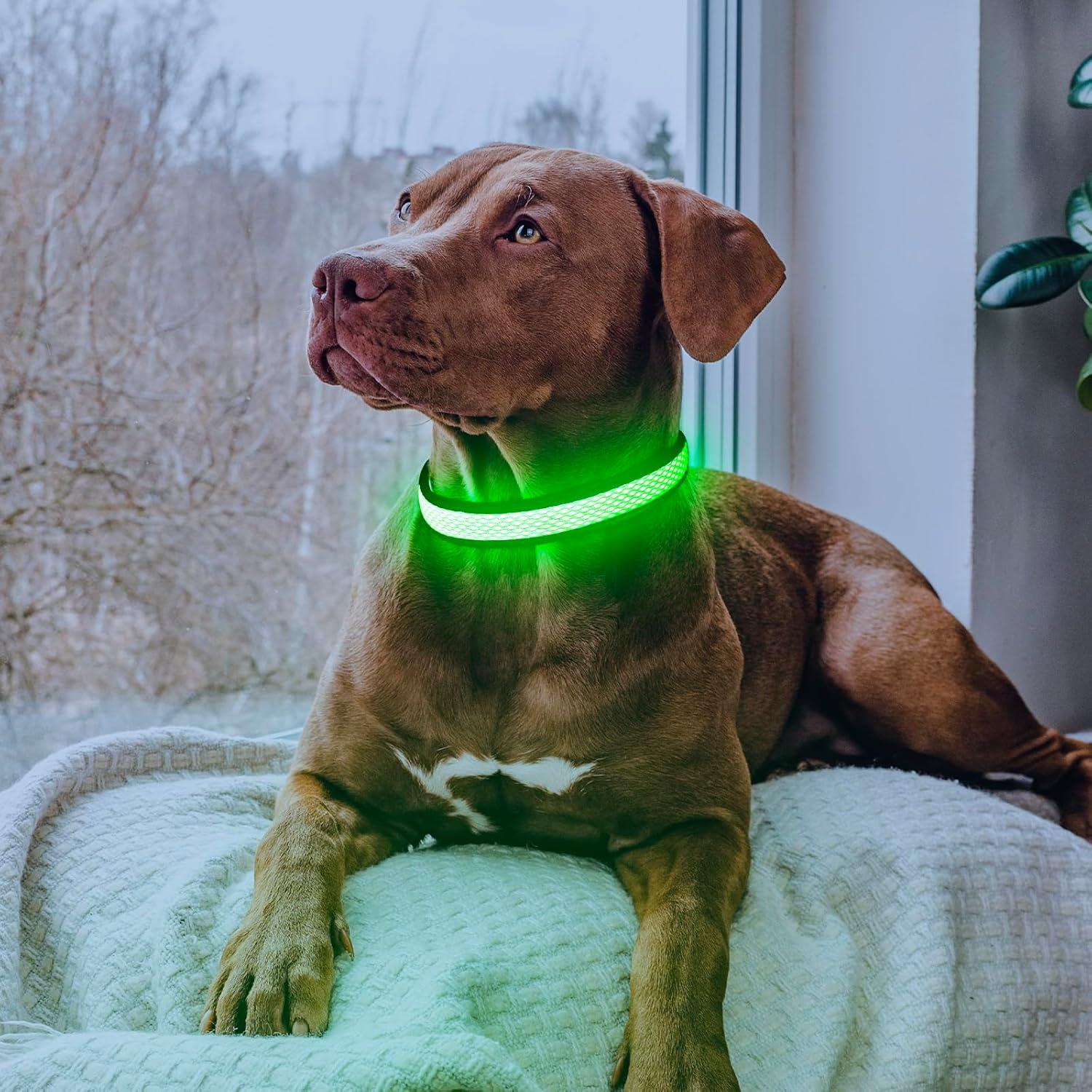 Collar de Perro LED Yuansen Verde Neón Pequeño Recargable
