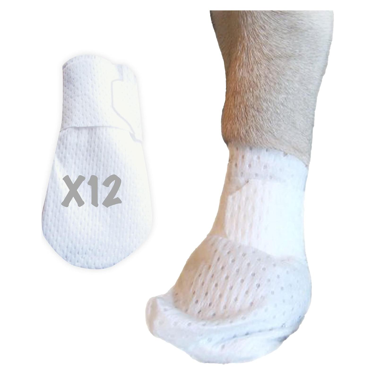 Vendajes para Patas Medimitt PawFlex XS 12-Pack Antideslizantes