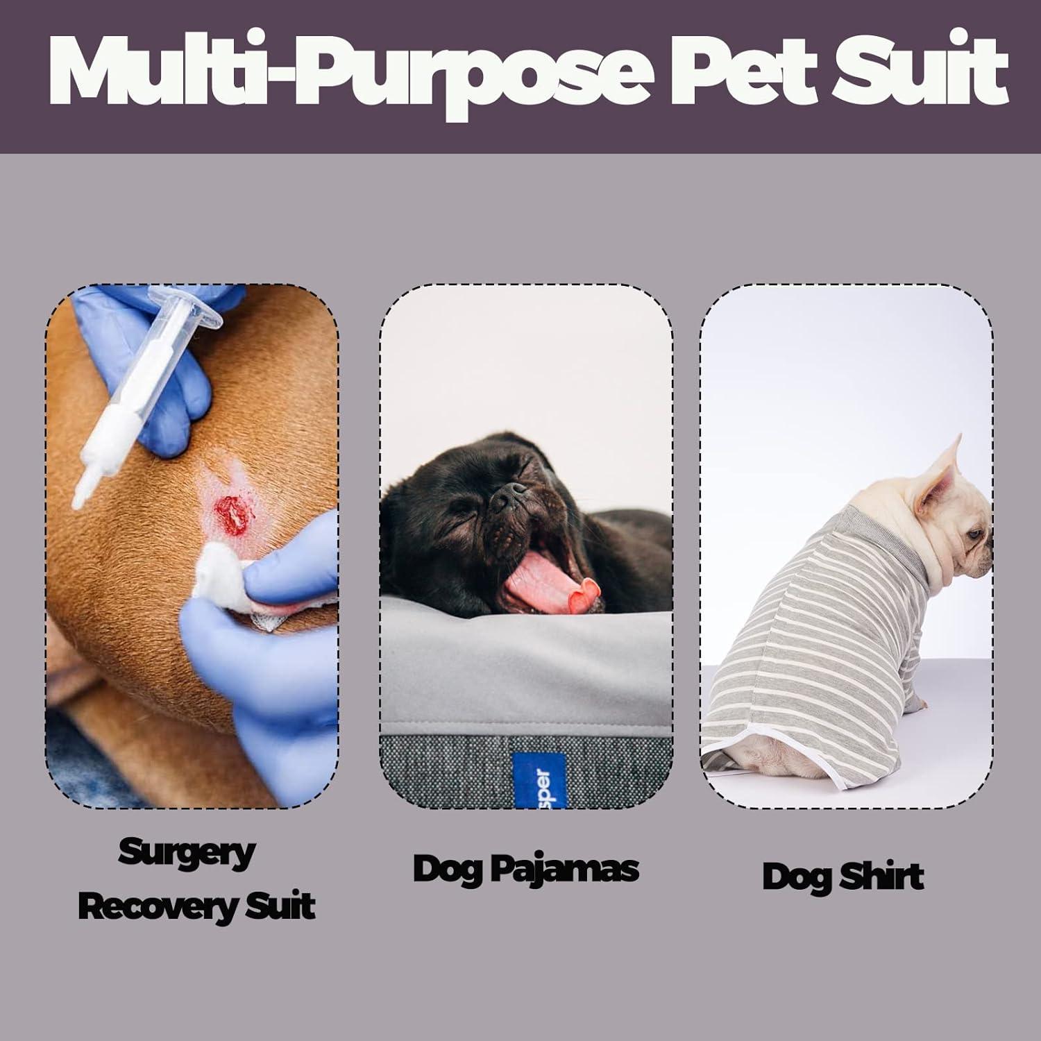 Traje Quirúrgico para Mascotas AOKAZI XXS Gris