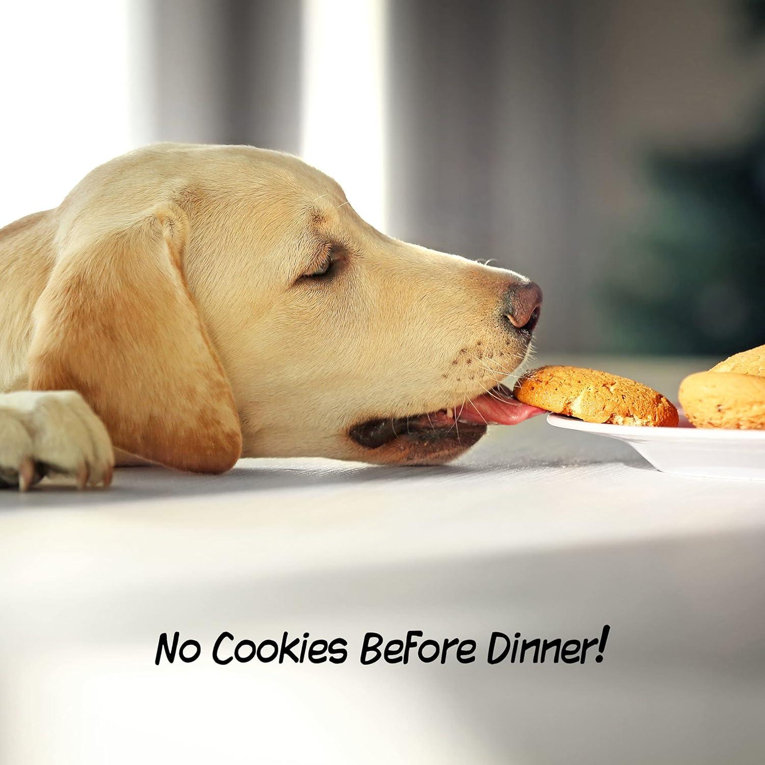 Puerta Plegable para Mascotas PETMAKER 182x60 cm Blanca