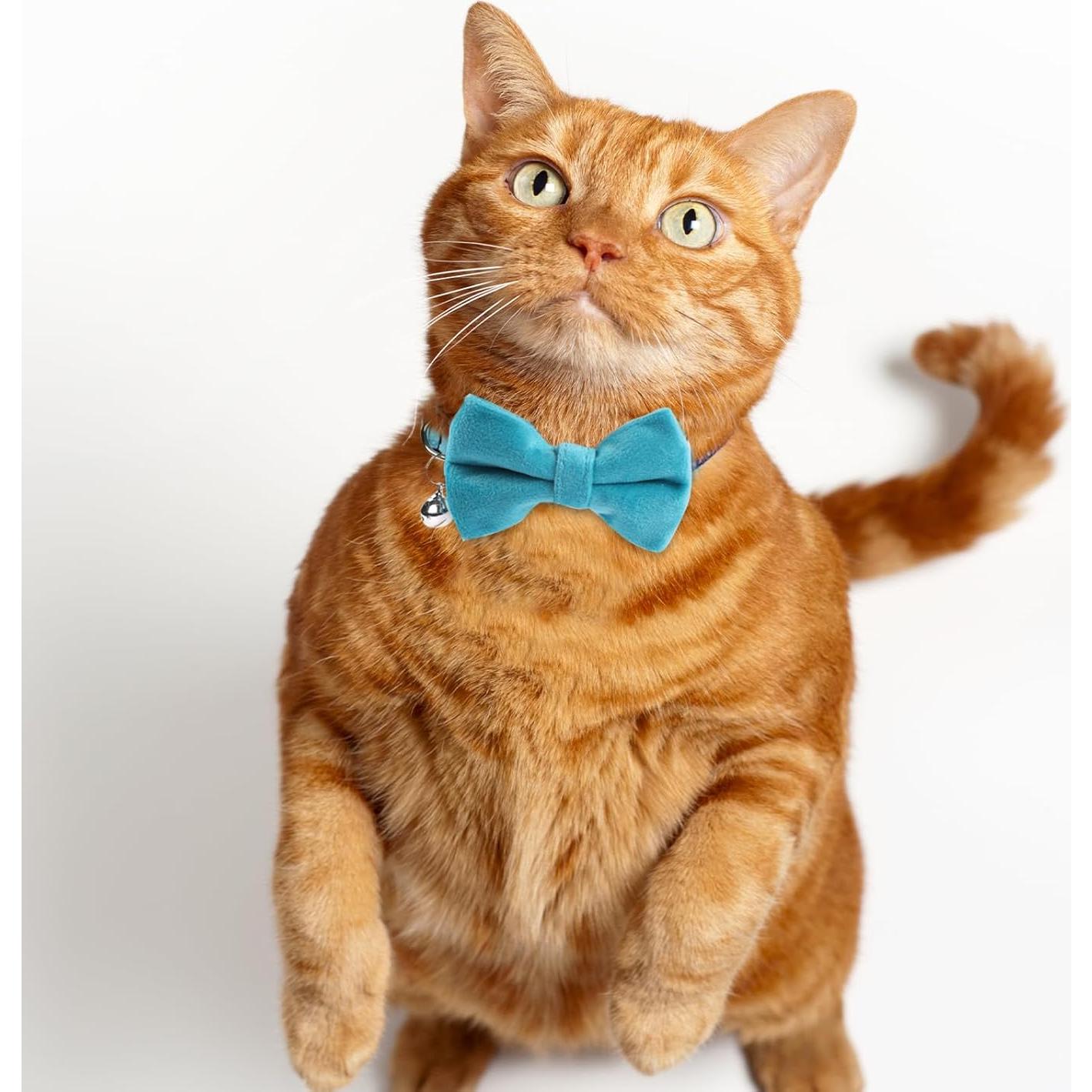 Collar Ajustable para Gato Sliverdew 2 Pcs Terciopelo