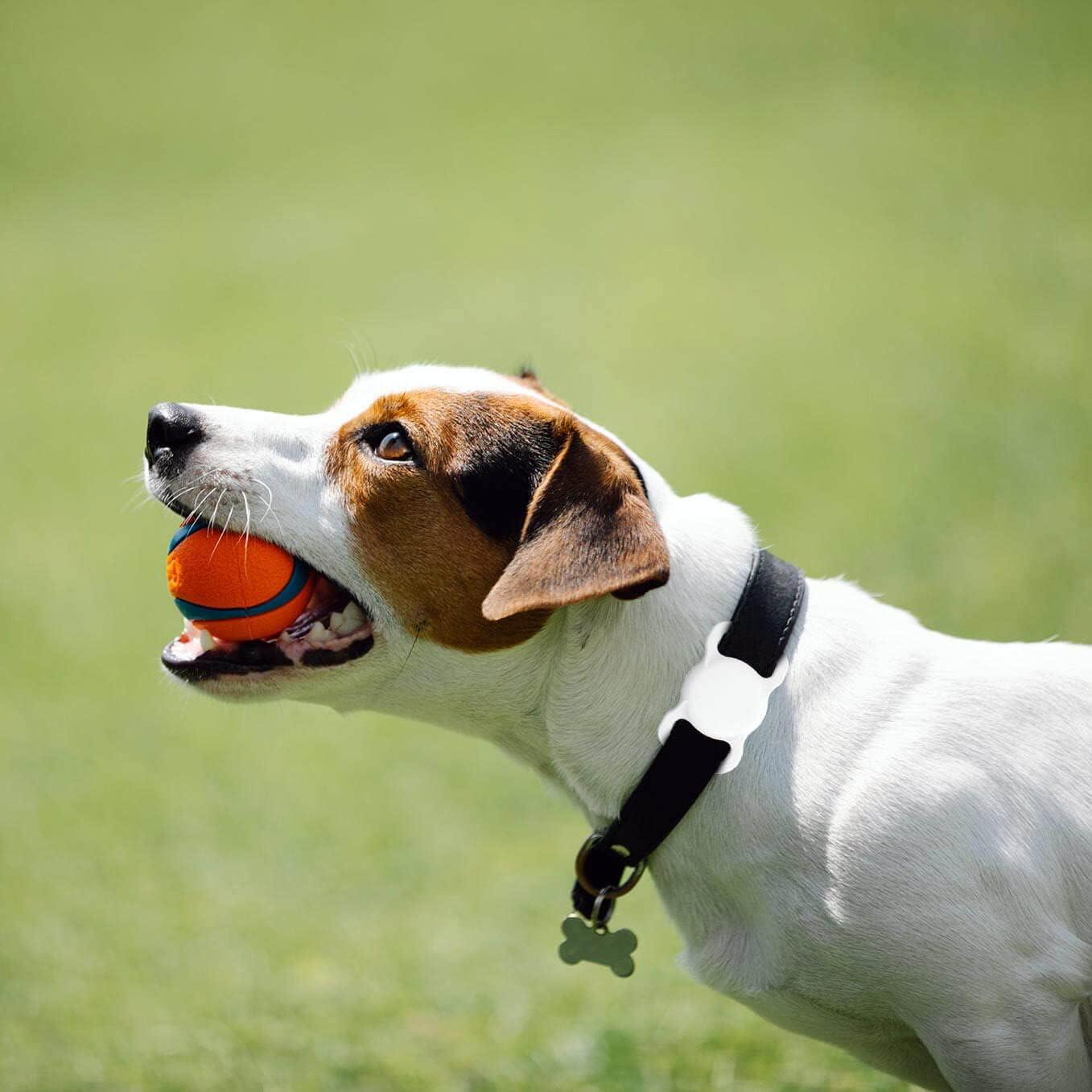 Soporte para Collar de Perro AirTag SWINCHO 2 Pack Negro y Blanco