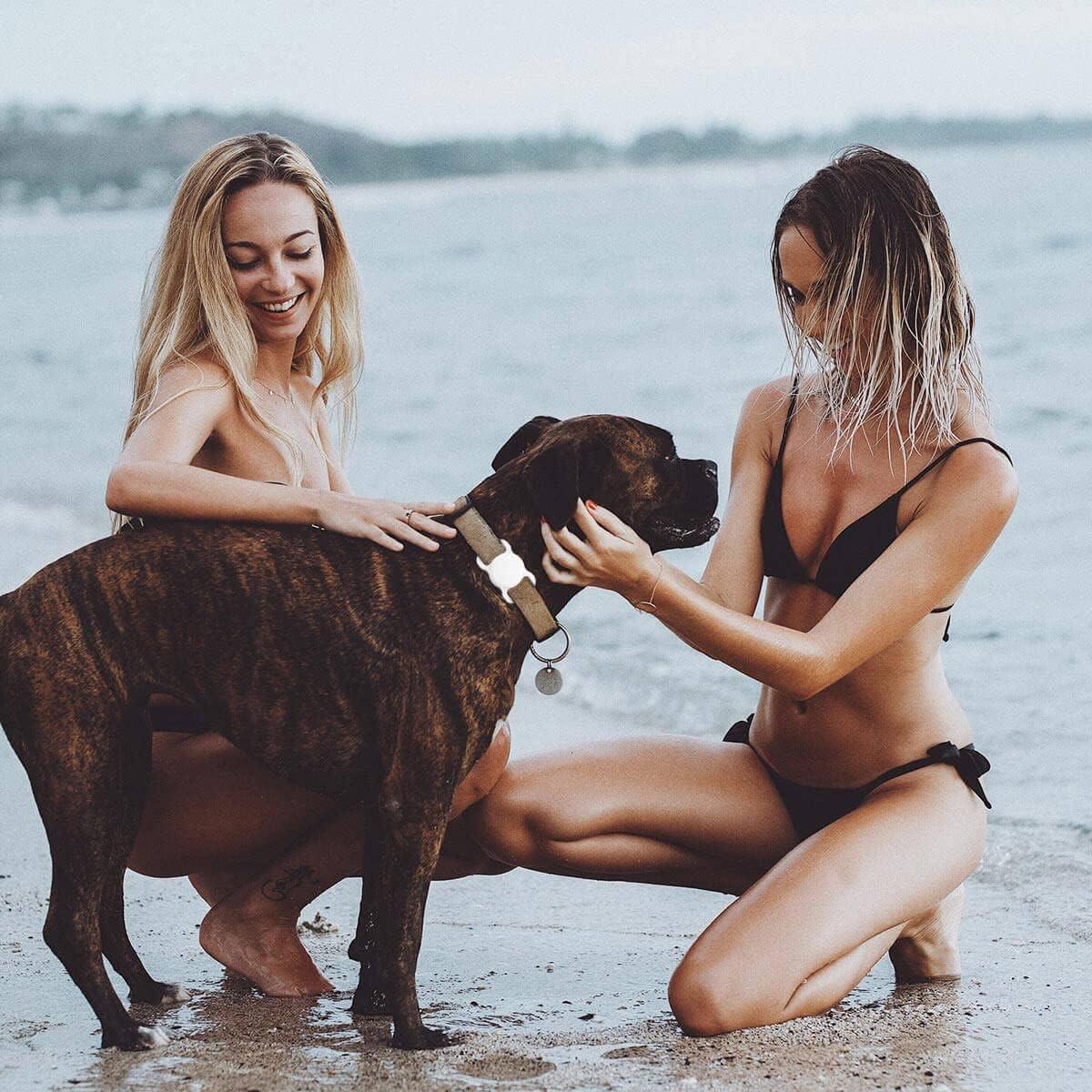 Soporte para Collar de Perro AirTag SWINCHO 2 Pack Negro y Blanco