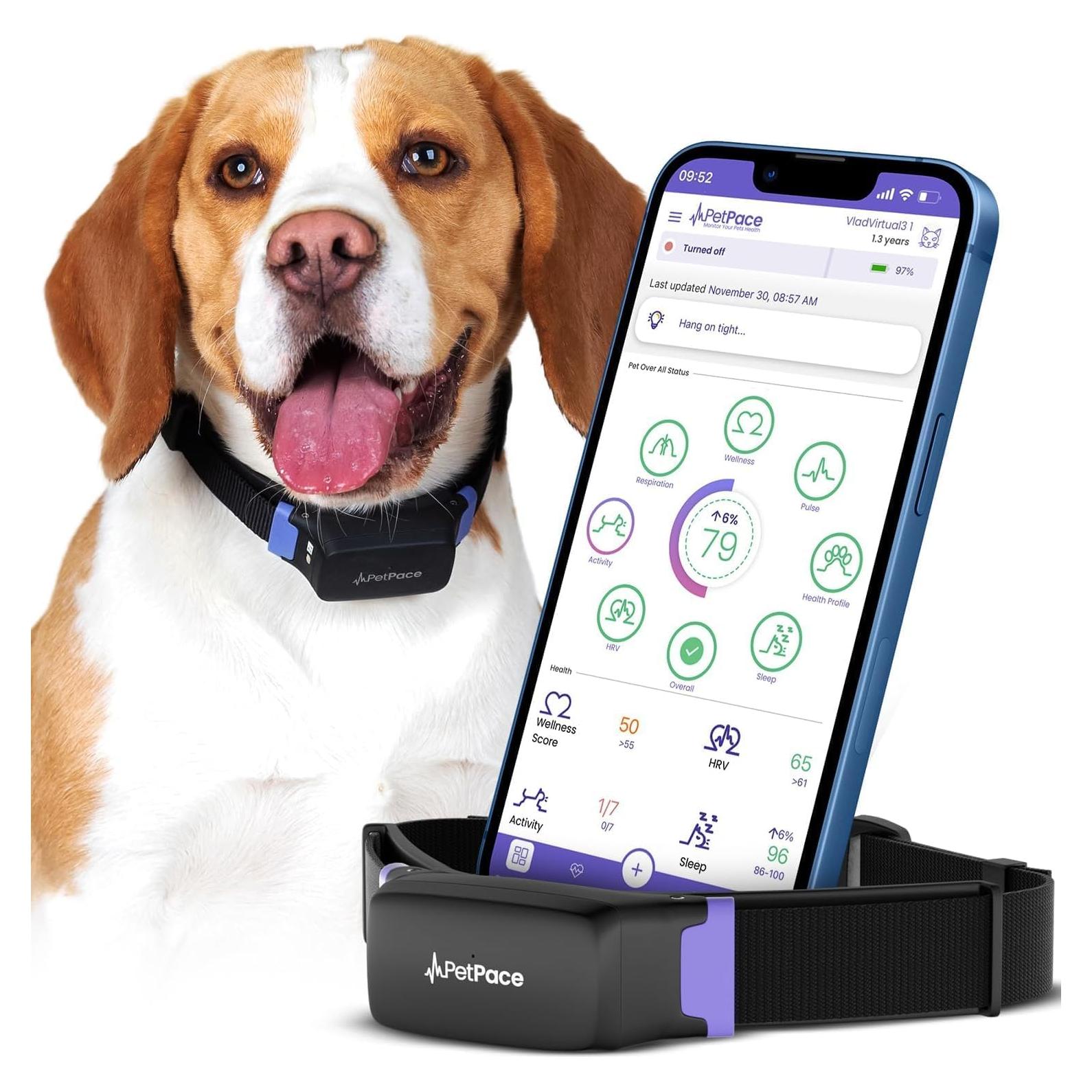 Collar Inteligente PetPace 2.0 Mediano para Perros - Monitoreo Salud