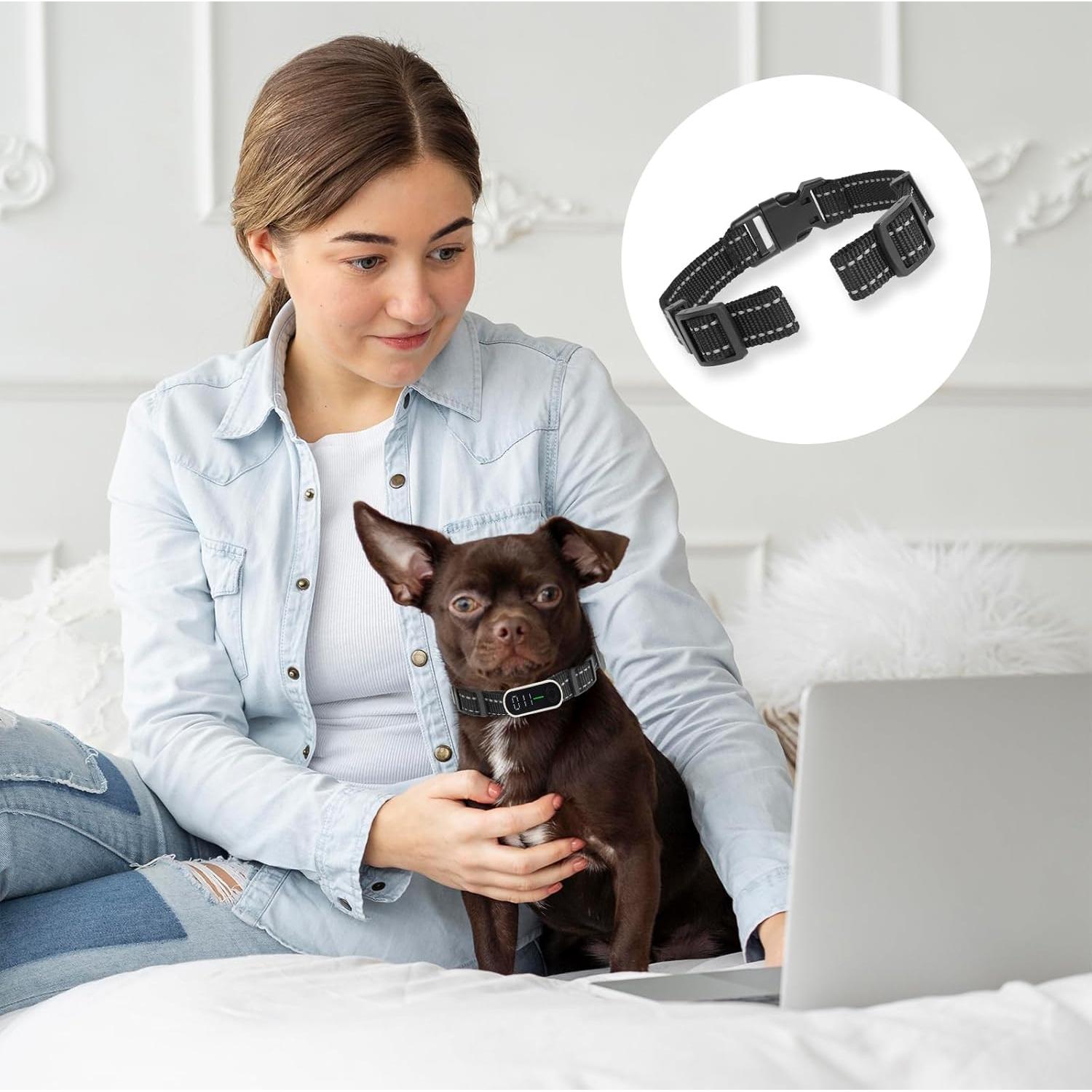 Correa de Reemplazo para Collar de Entrenamiento Xthrotsenk 10x8cm