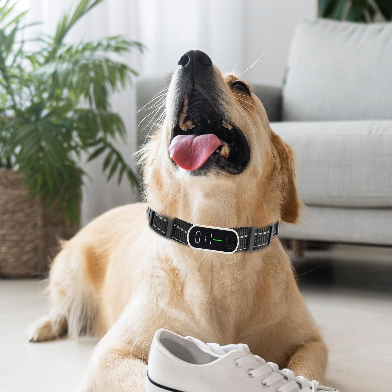 Correa de Reemplazo para Collar de Entrenamiento Xthrotsenk 10x8cm