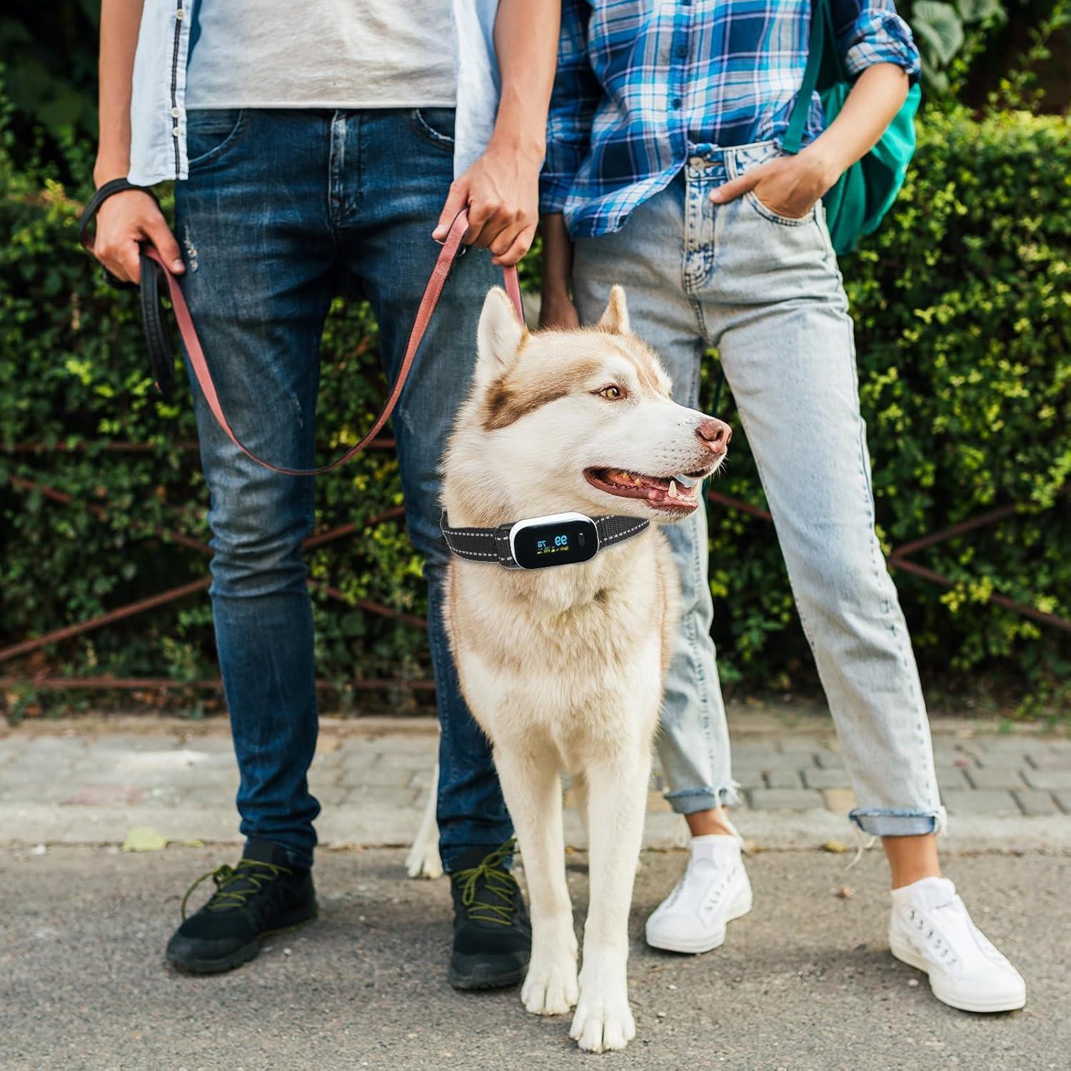 Correa de Reemplazo para Collar de Entrenamiento Xthrotsenk 10x8cm