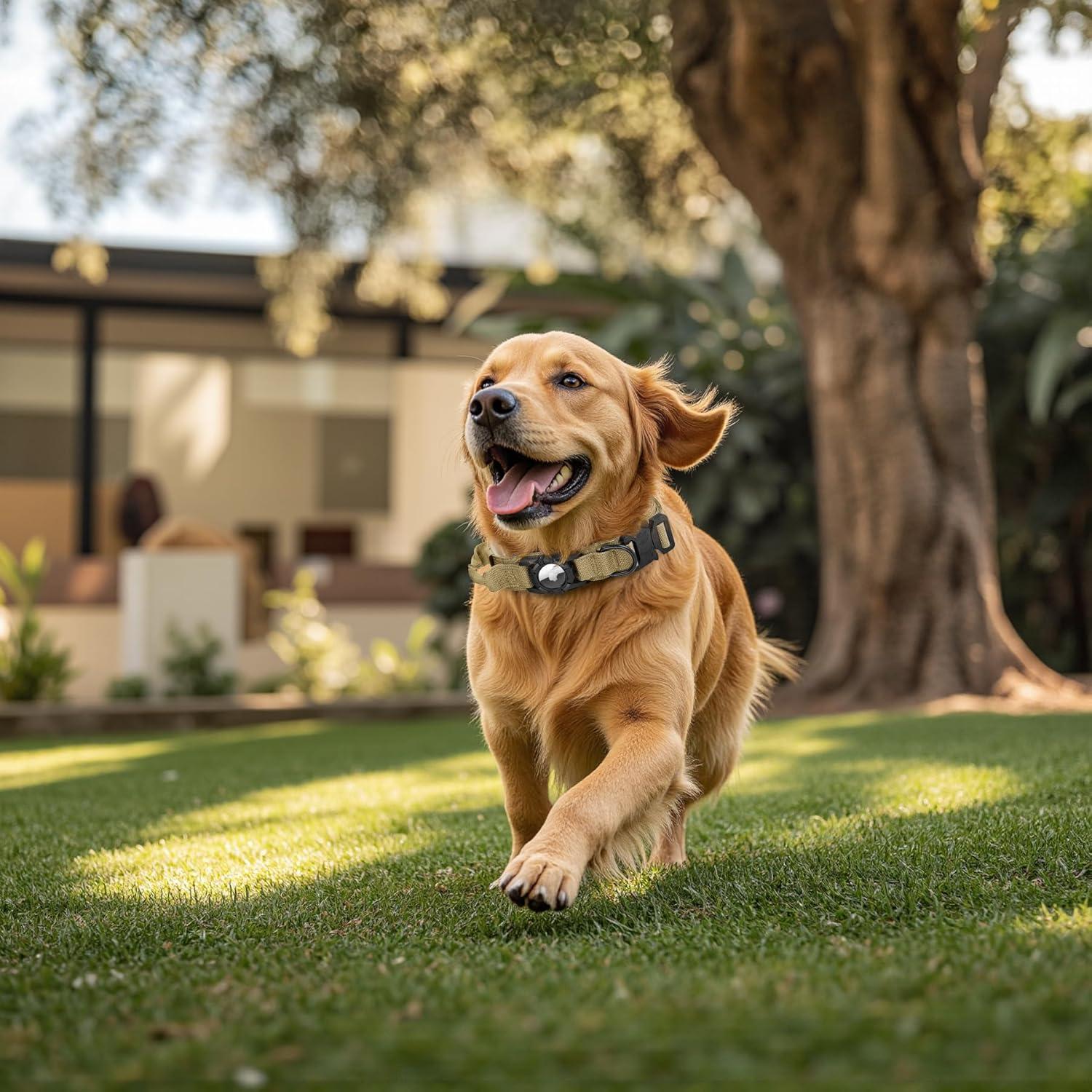 Collar y Correa Táctica para Perros AGPETS XL Marrón GPS
