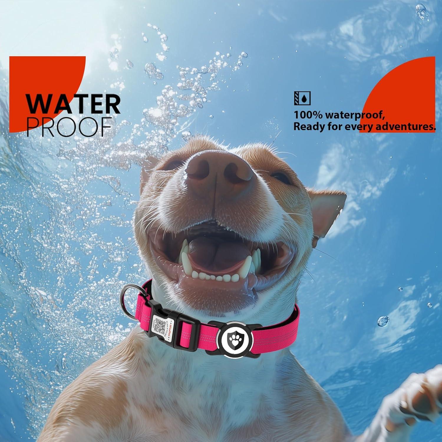 Collar Reflectante para Perros ILFINDYOU Rojo S 10-15"