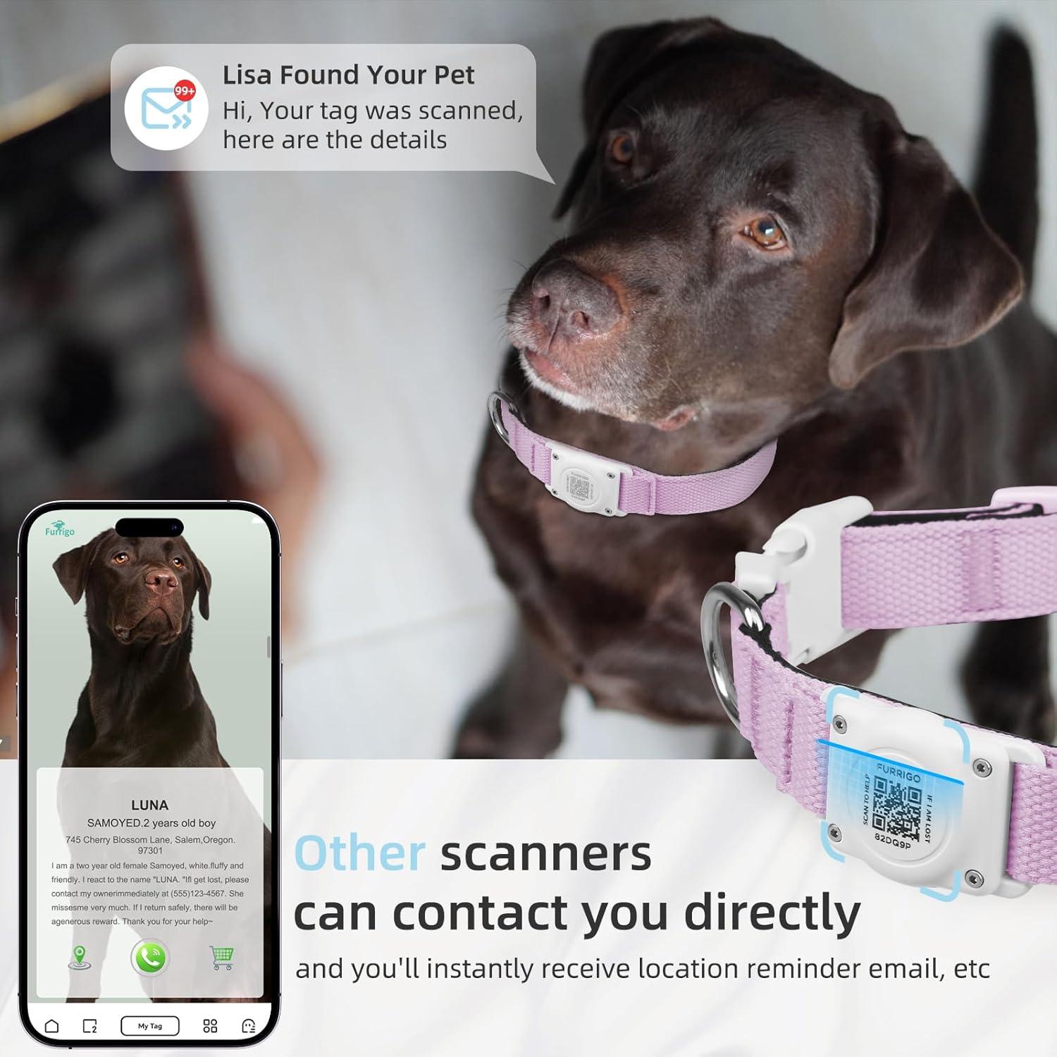 Collar para Perros Furrigo con AirTag y Código QR XL
